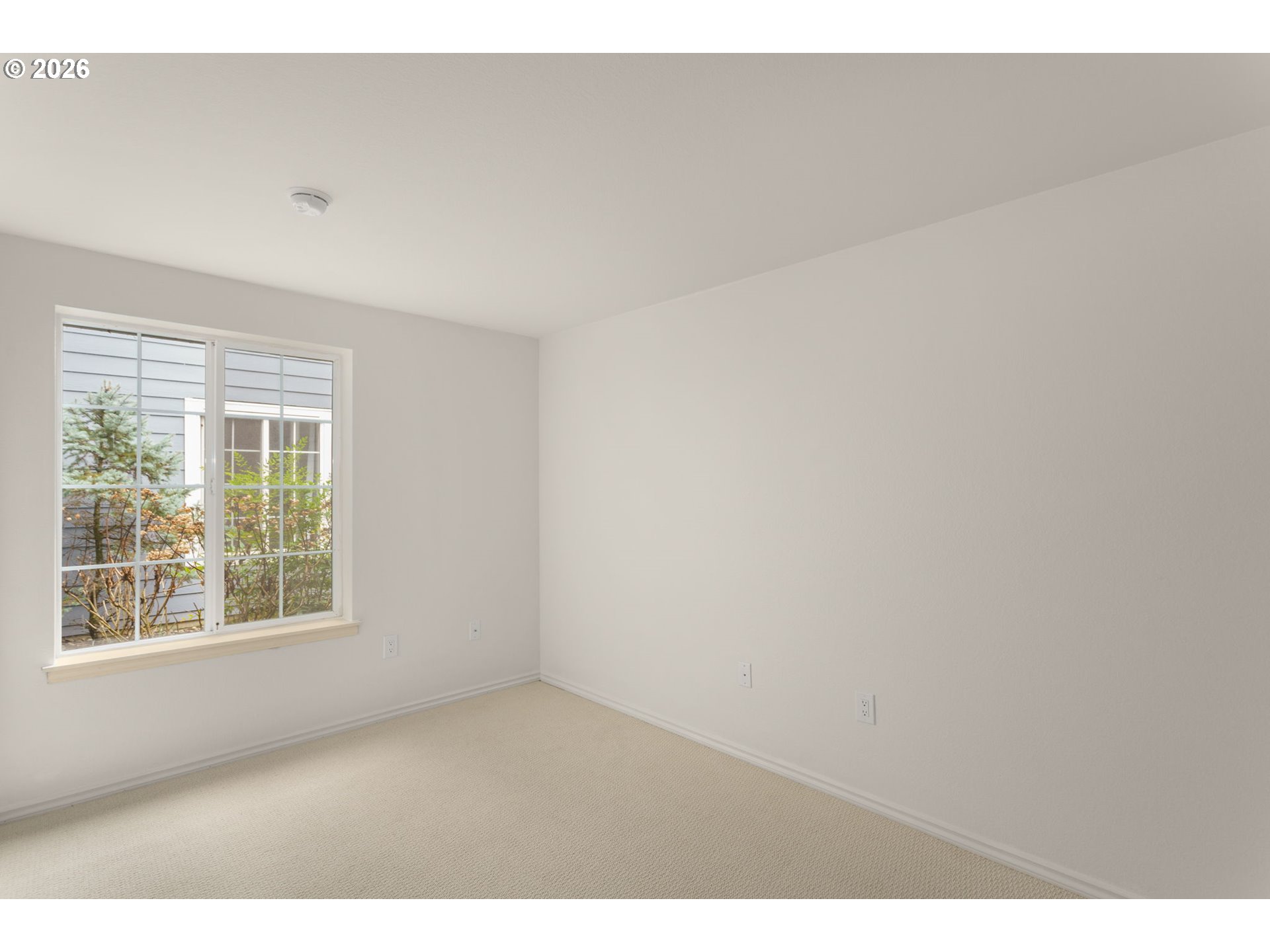 Photo #10: 595619148 Listing: Photo #10