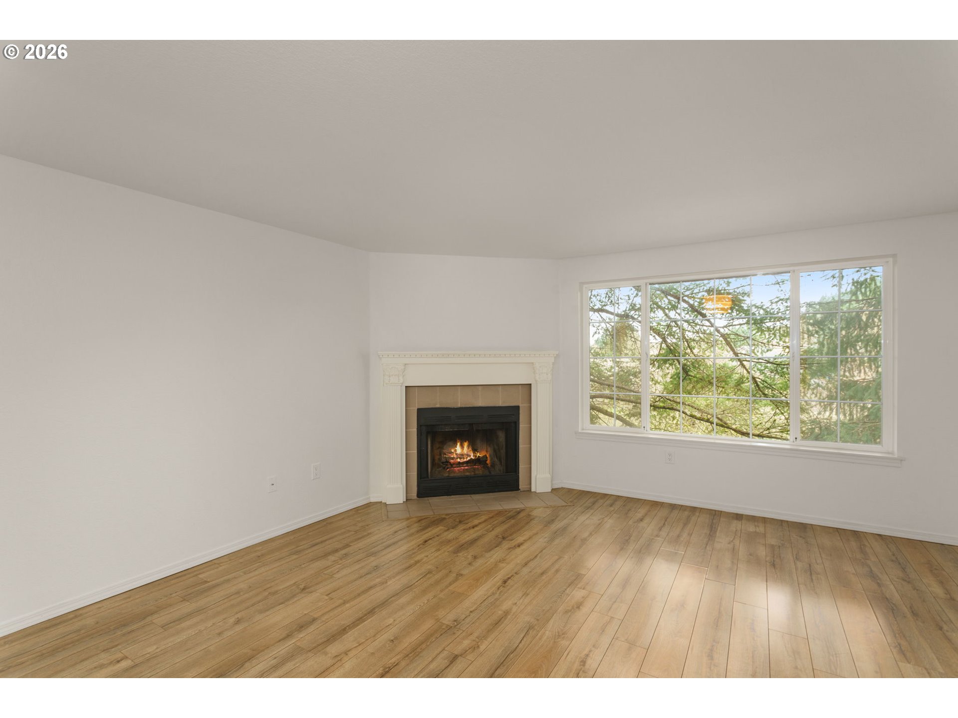 Photo #21: 595619148 Listing: Photo #21