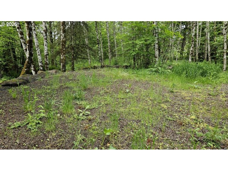 Kelso Listings