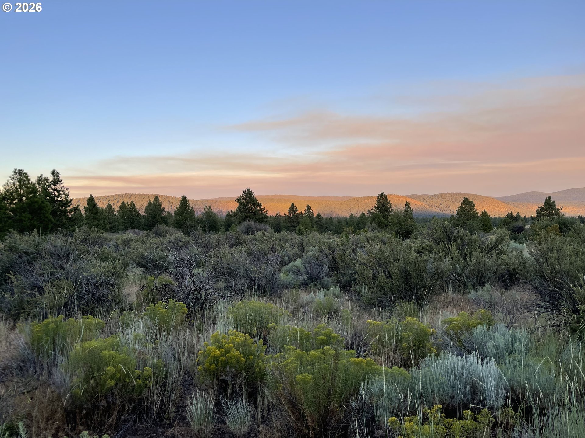 David Street UNIT 1, Chiloquin, OR, 97624