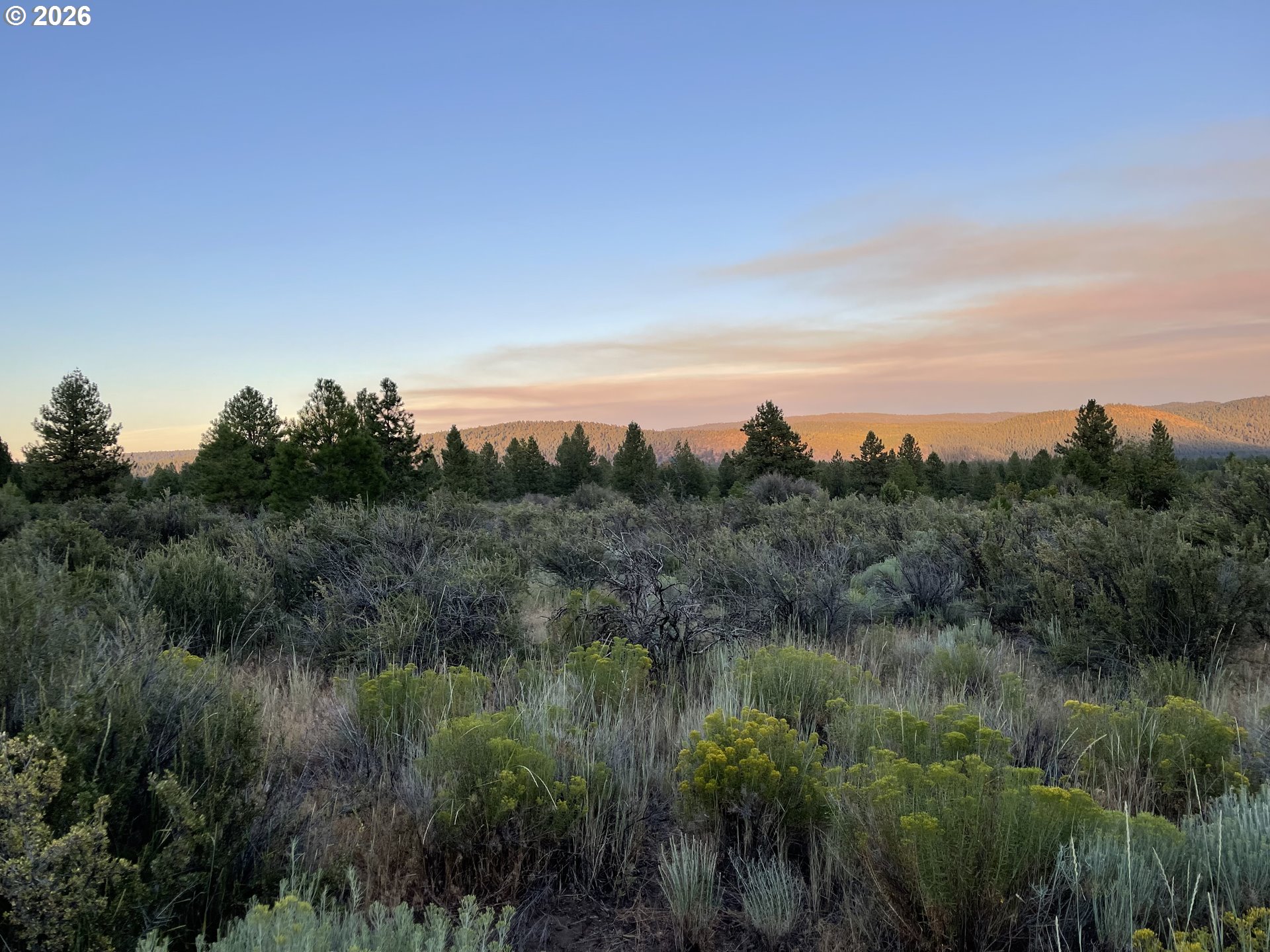 David Street UNIT 1, Chiloquin, OR, 97624