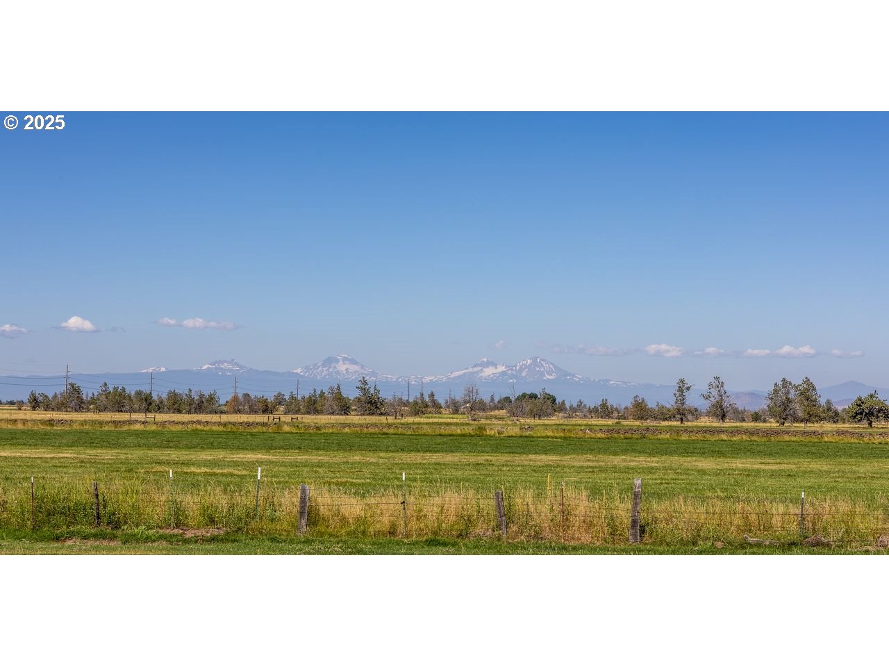 Search Homes for Sale