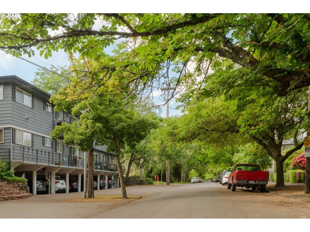 Photo #5: 597836531 Listing: Photo #5