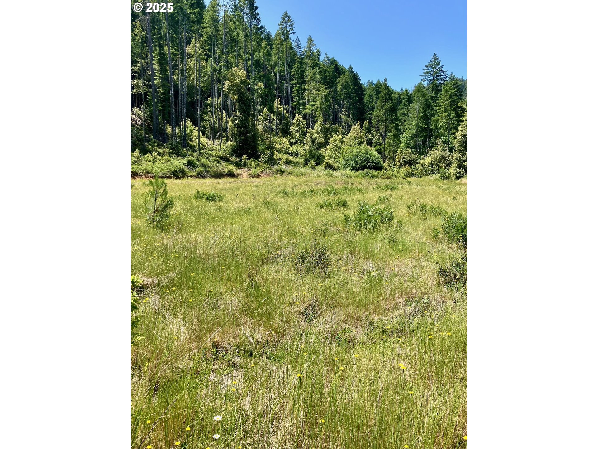 0 NE LOT Verda LN, Keizer, OR, 97303