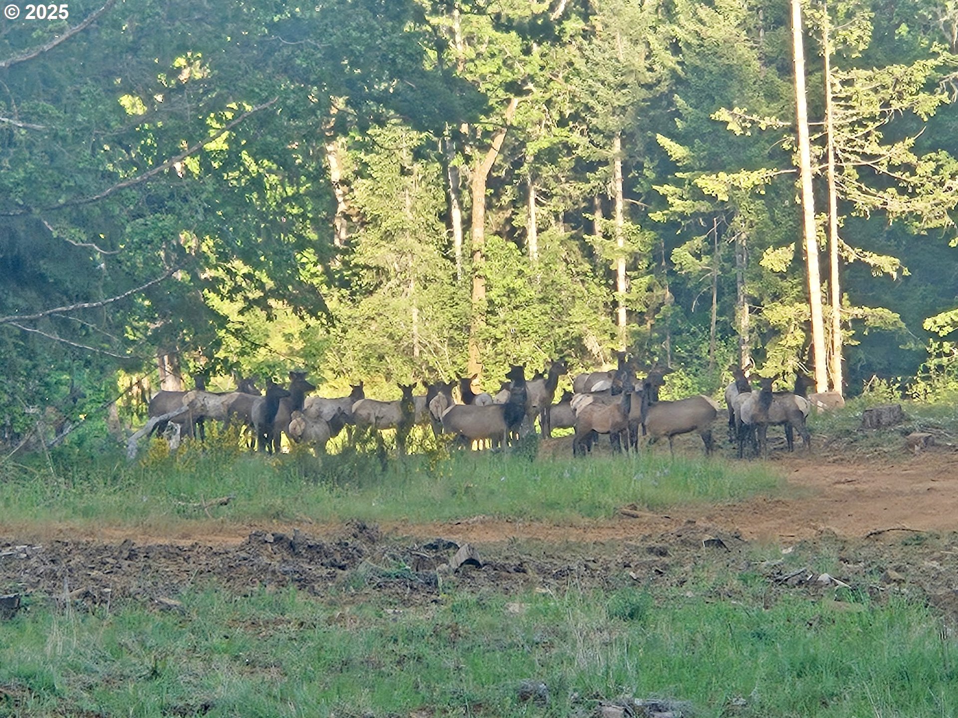 Homes on Acreage