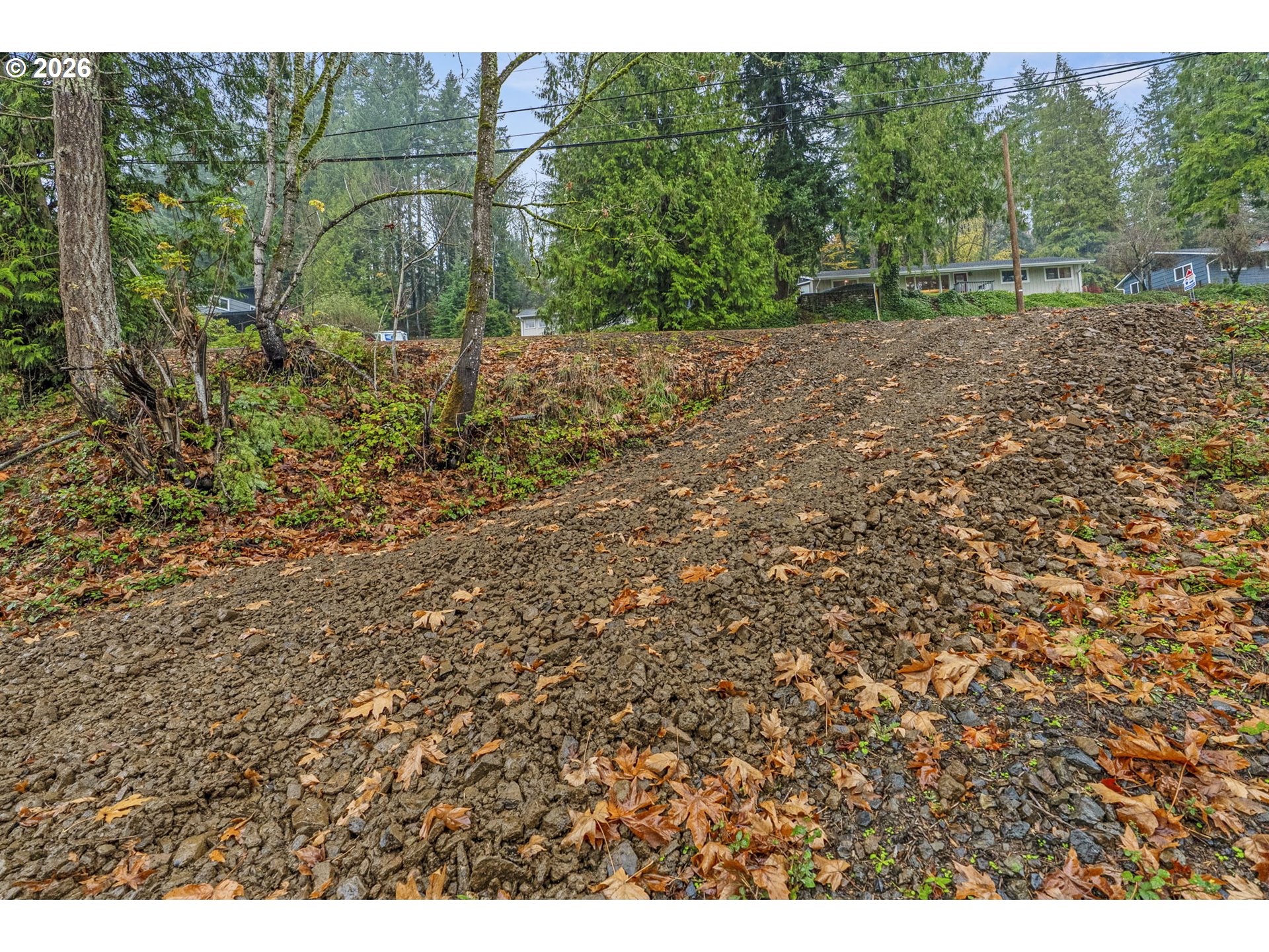 Search Homes for Sale