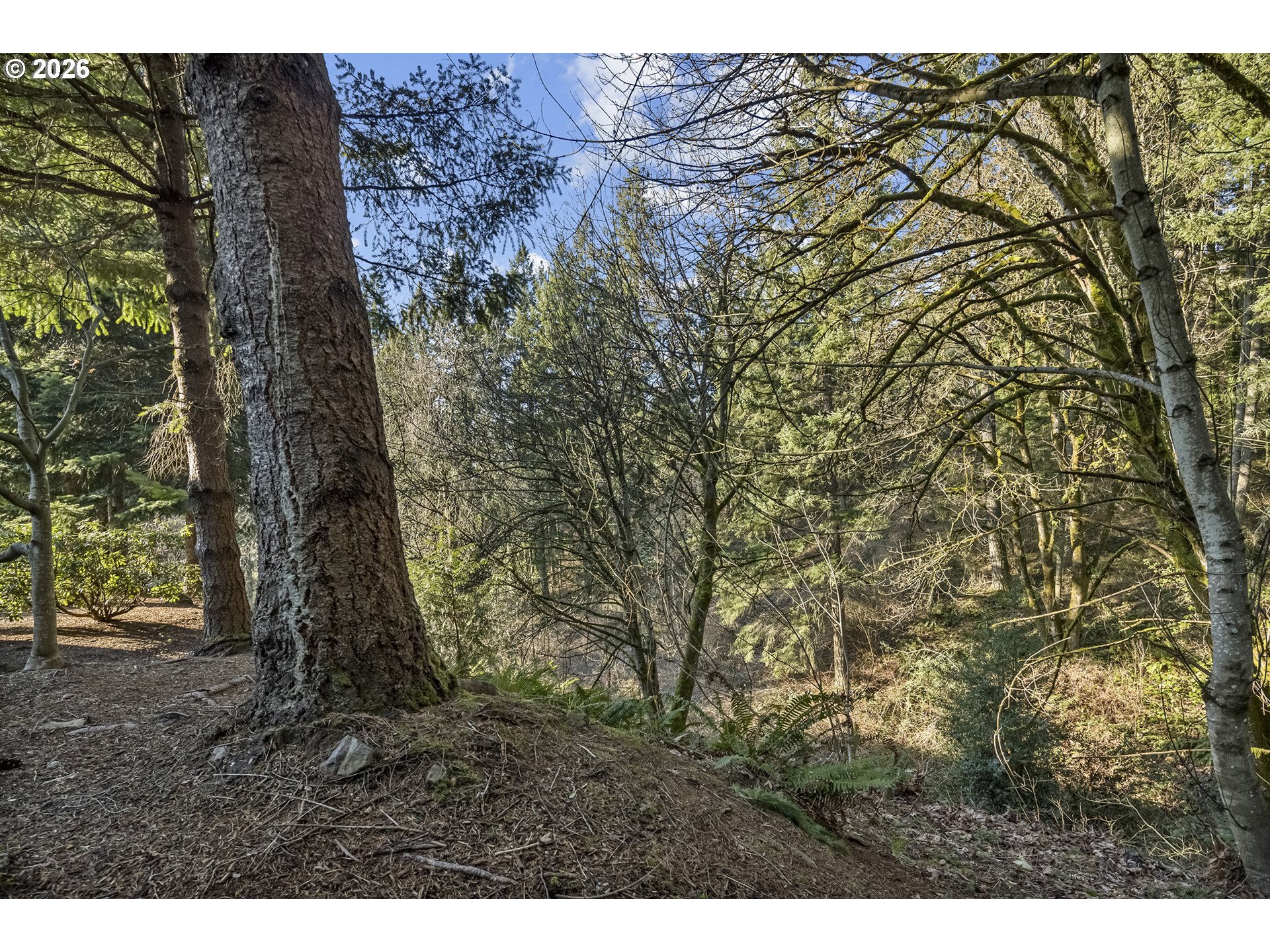 Photo #22: 599881845 Listing: Photo #22