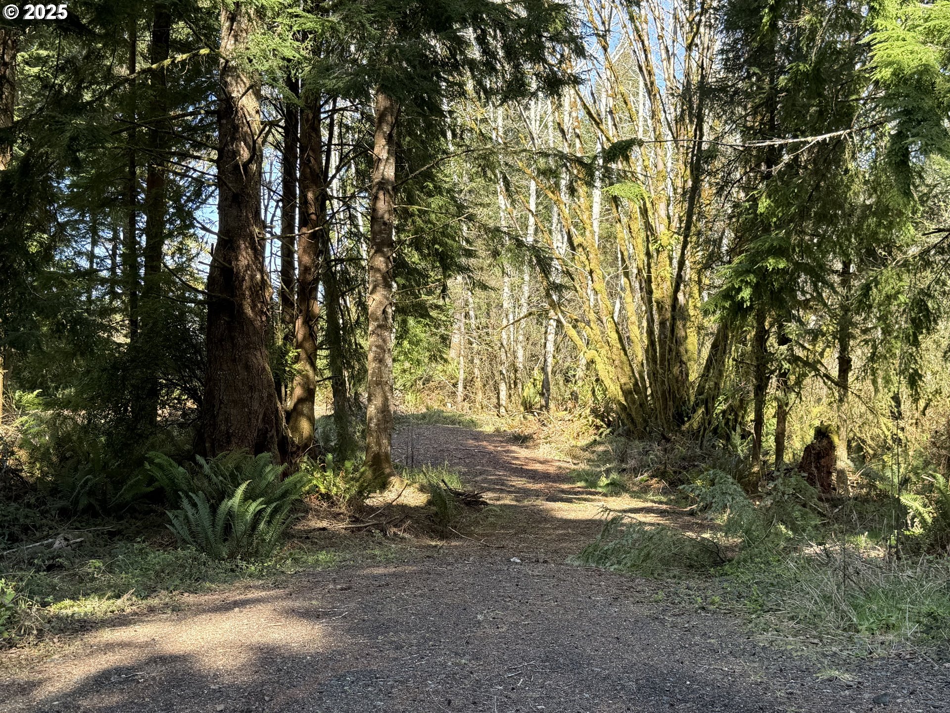 Search Homes for Sale