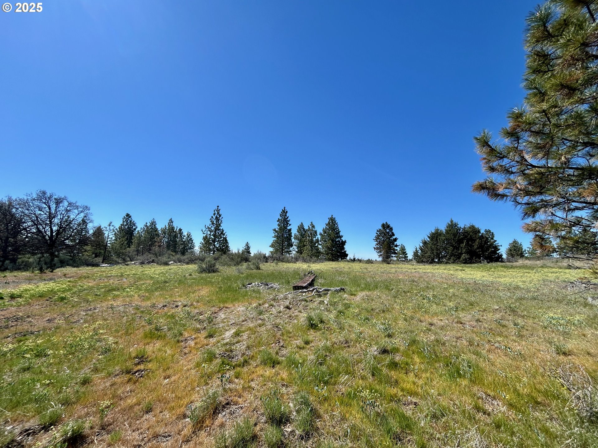 Search Homes for Sale