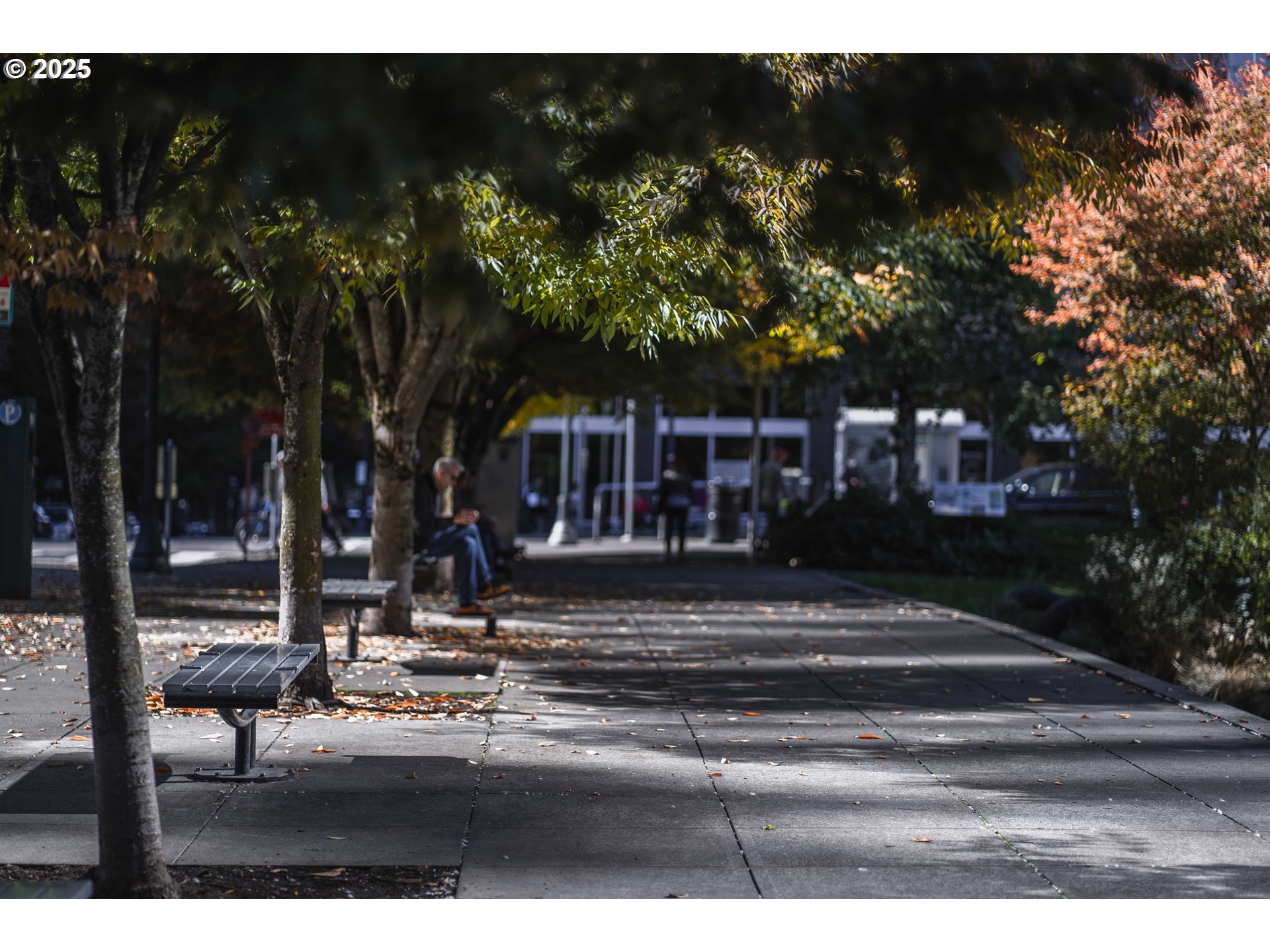 Photo #45: 605848030 Listing: Photo #45