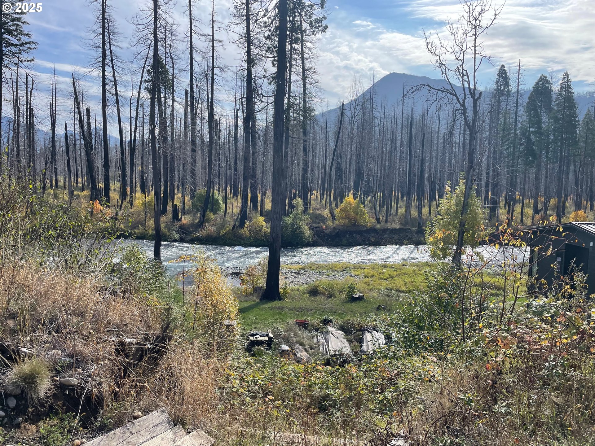 Search Homes for Sale