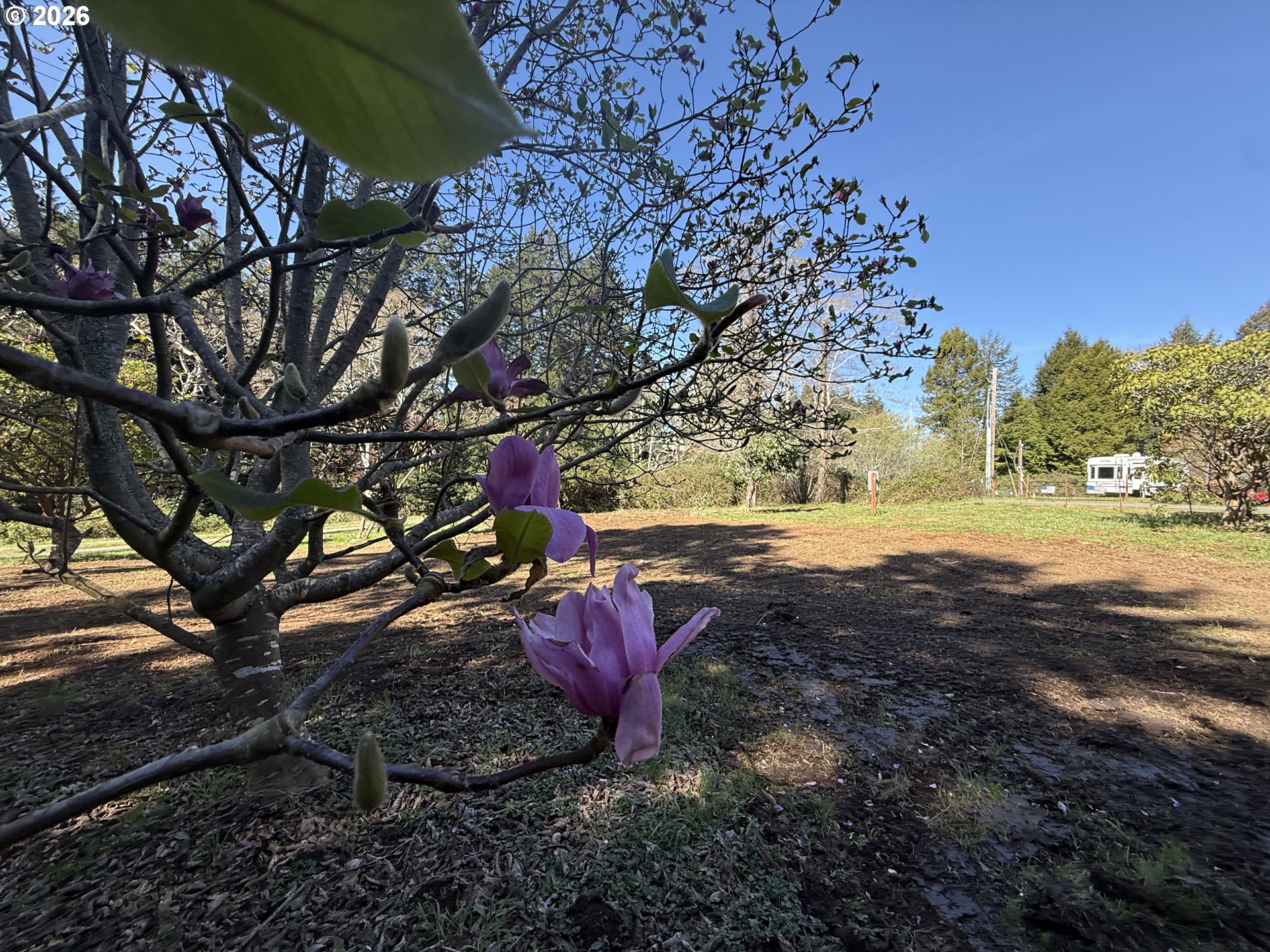 1300 HAMPTON RD, Brookings, OR, 97415