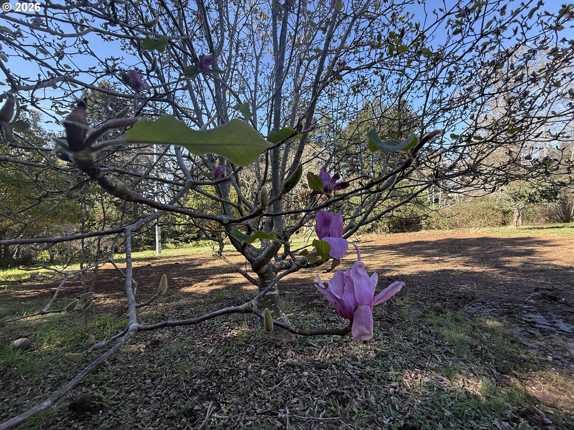 1300 HAMPTON RD, Brookings, OR, 97415