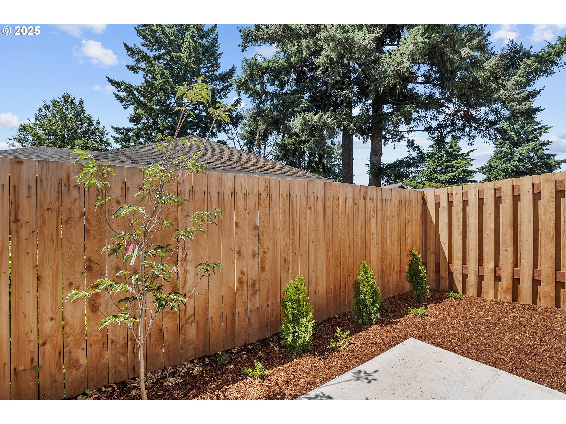 Photo #14: 610227350 Listing: Photo #14