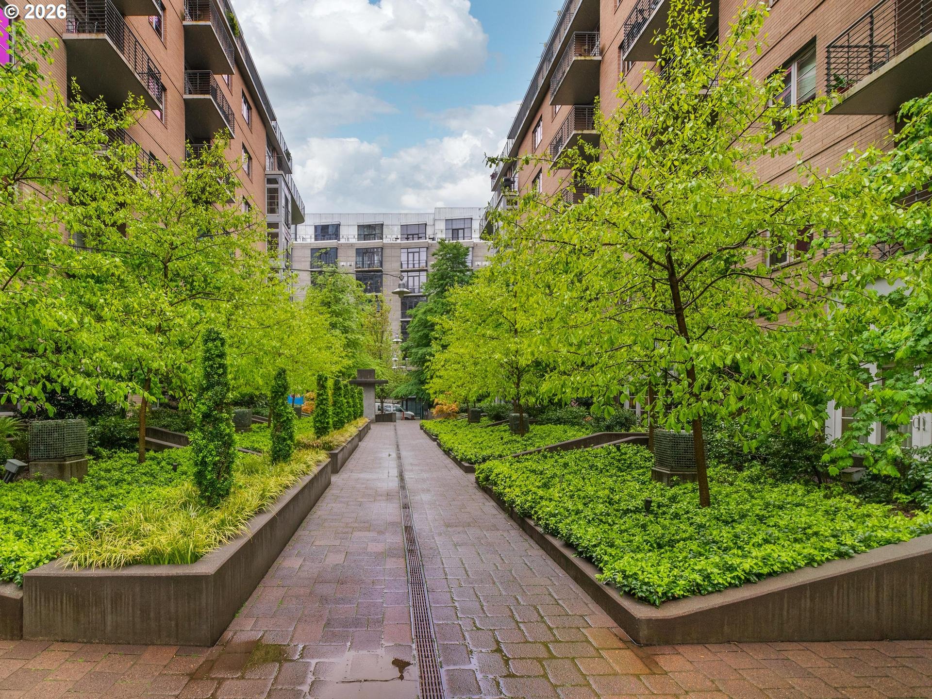 Photo #41: 610422026 Listing: Photo #41