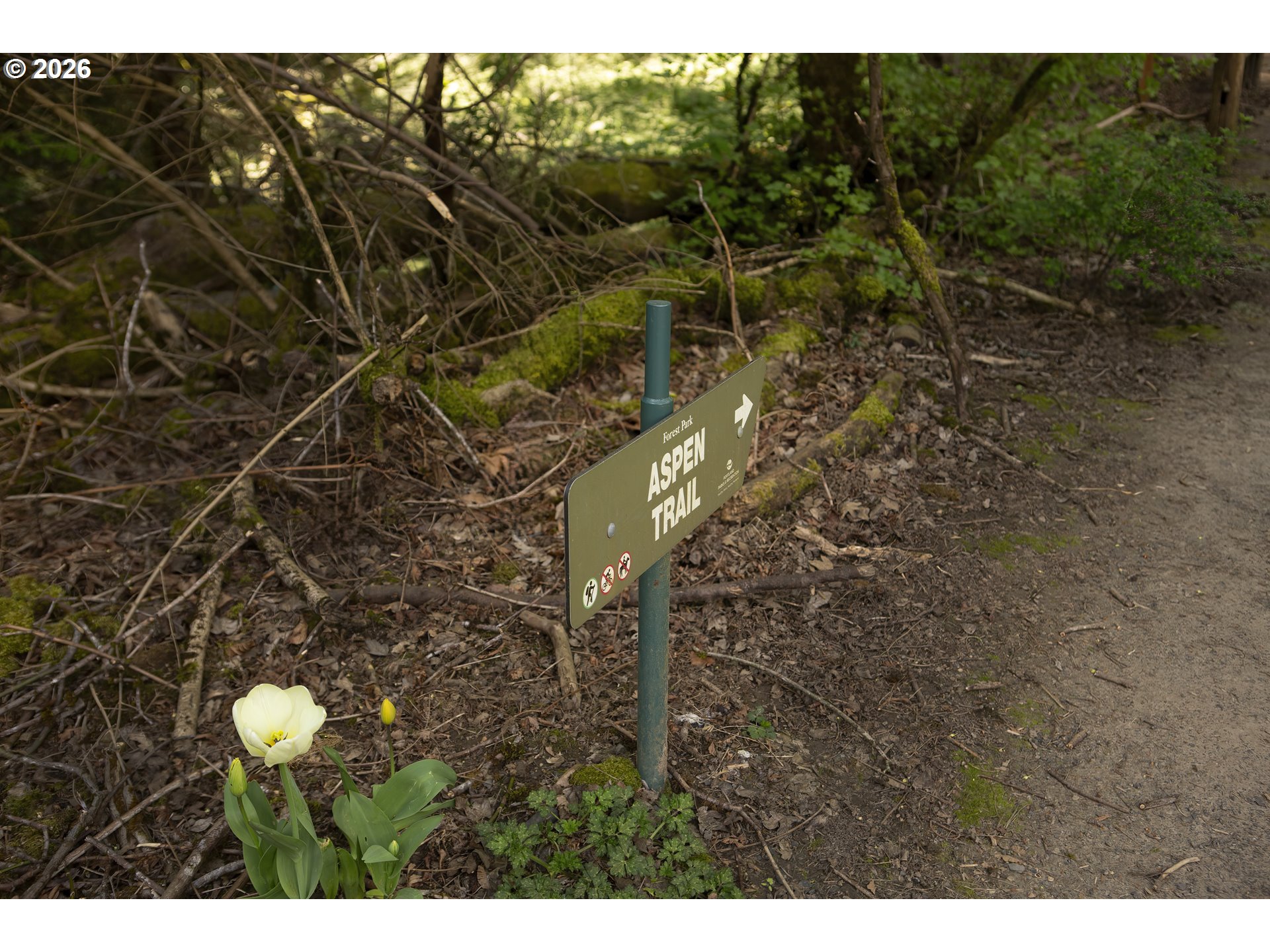 1808 NW ASPEN AVE, Portland, OR, 97210