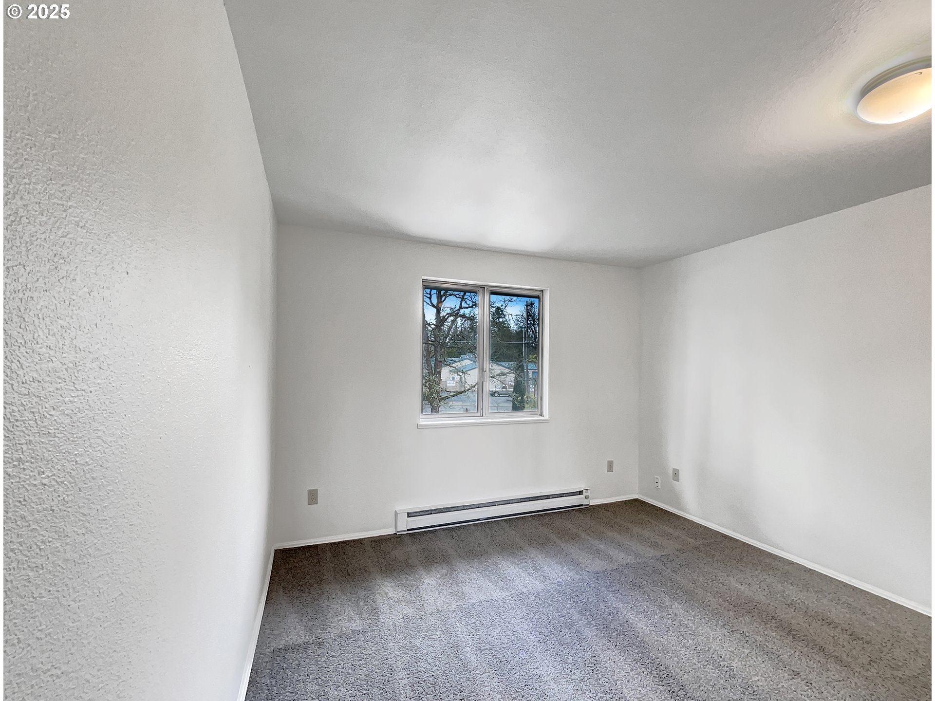 Photo #3: 613493014 Listing: Photo #3