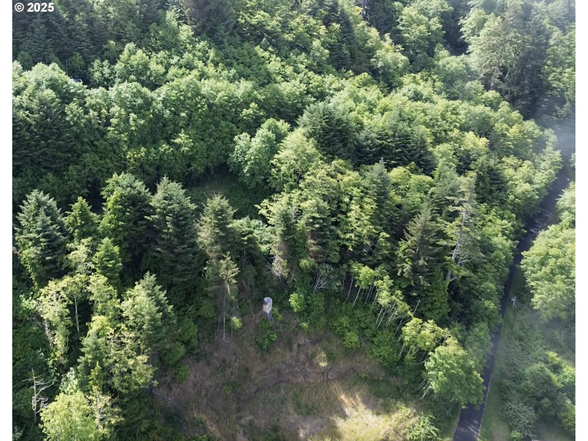 Search Homes for Sale