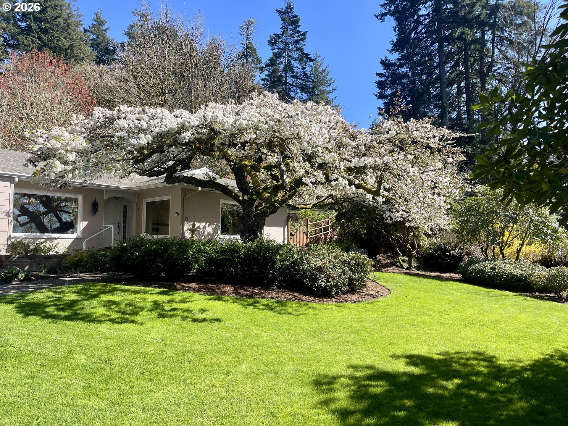 62927 OLIVE BARBER RD, Coos Bay, OR, 97420