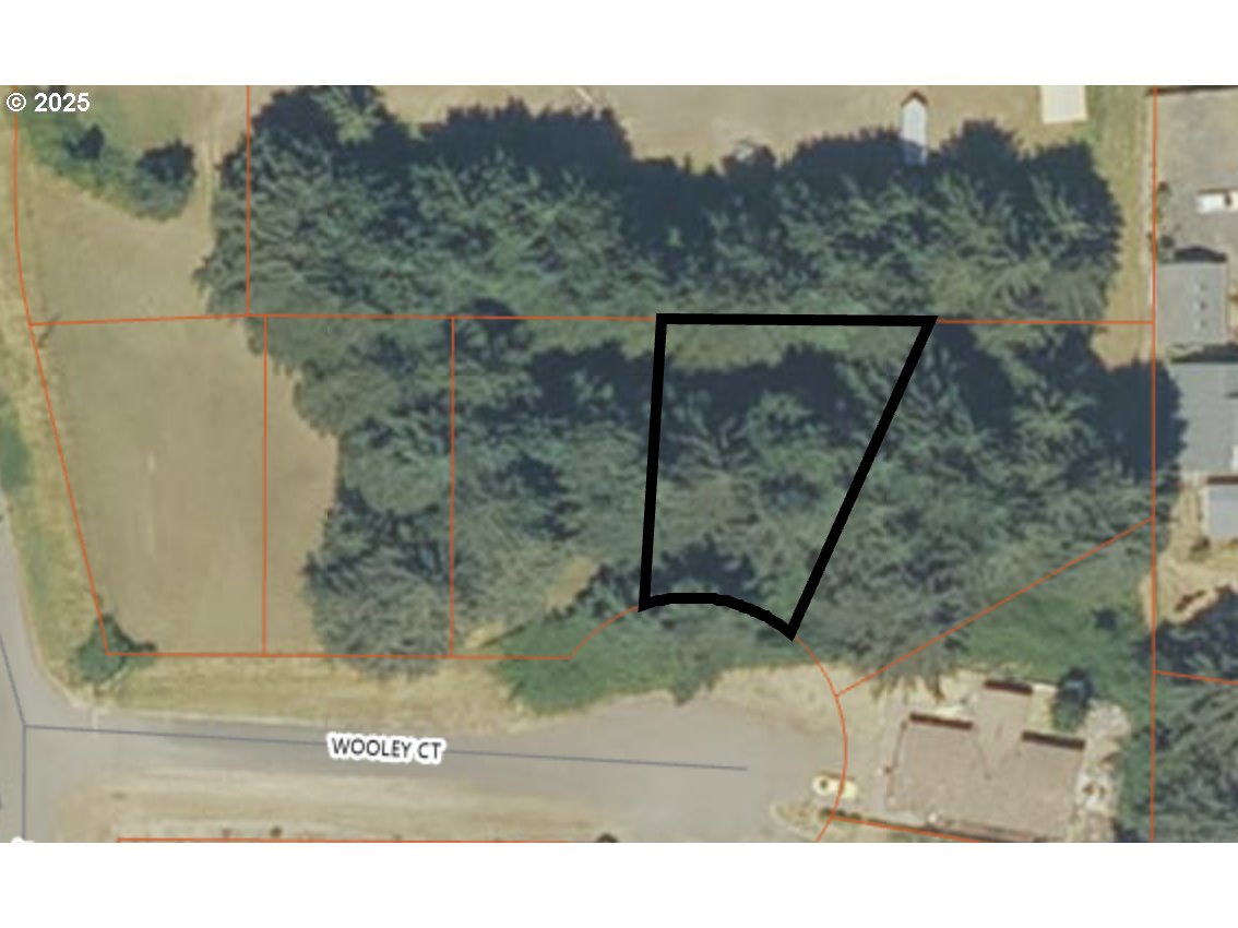 1039 WOOLEY CT, Yoncalla, OR, 97499