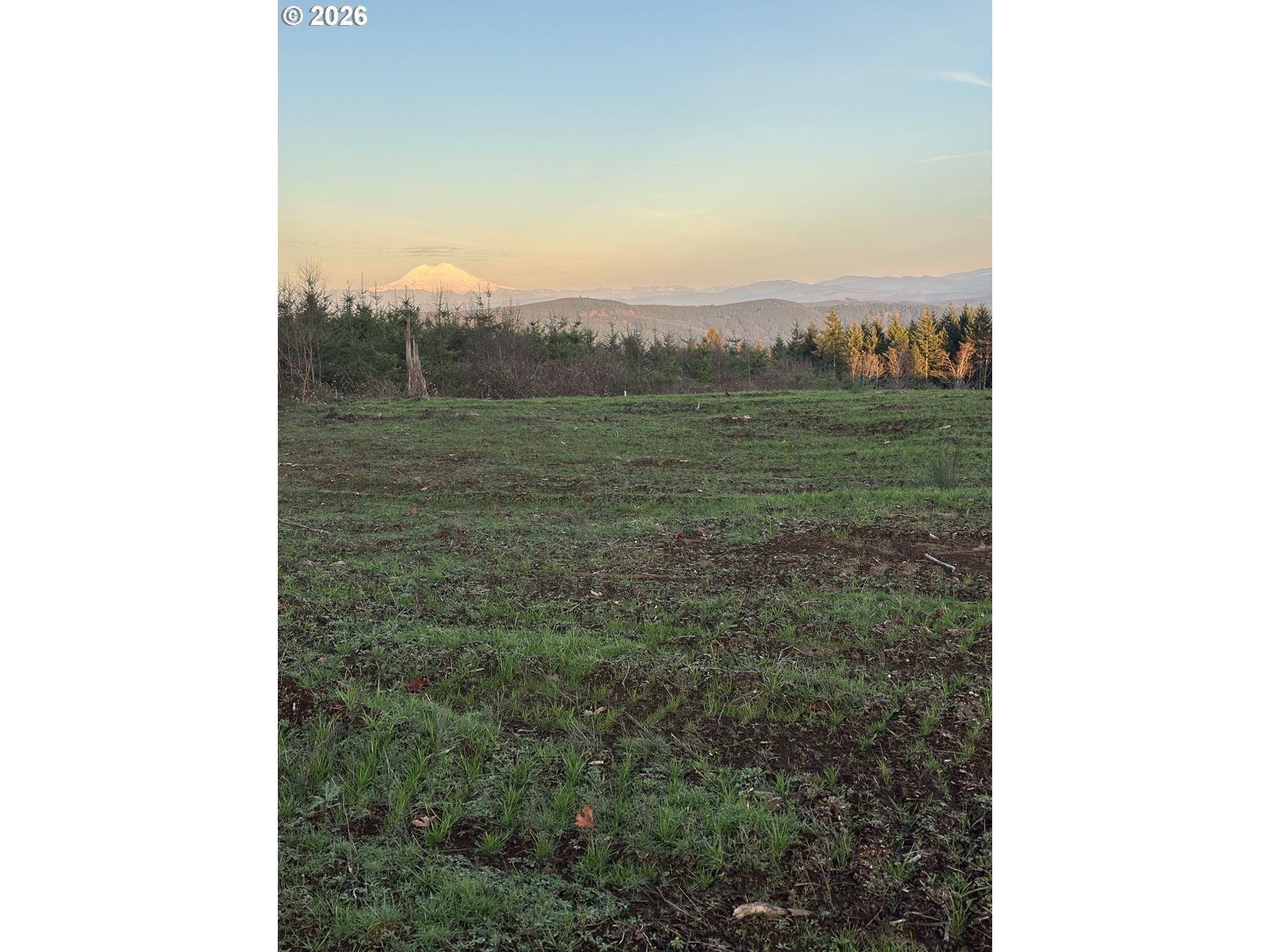 Search Homes for Sale