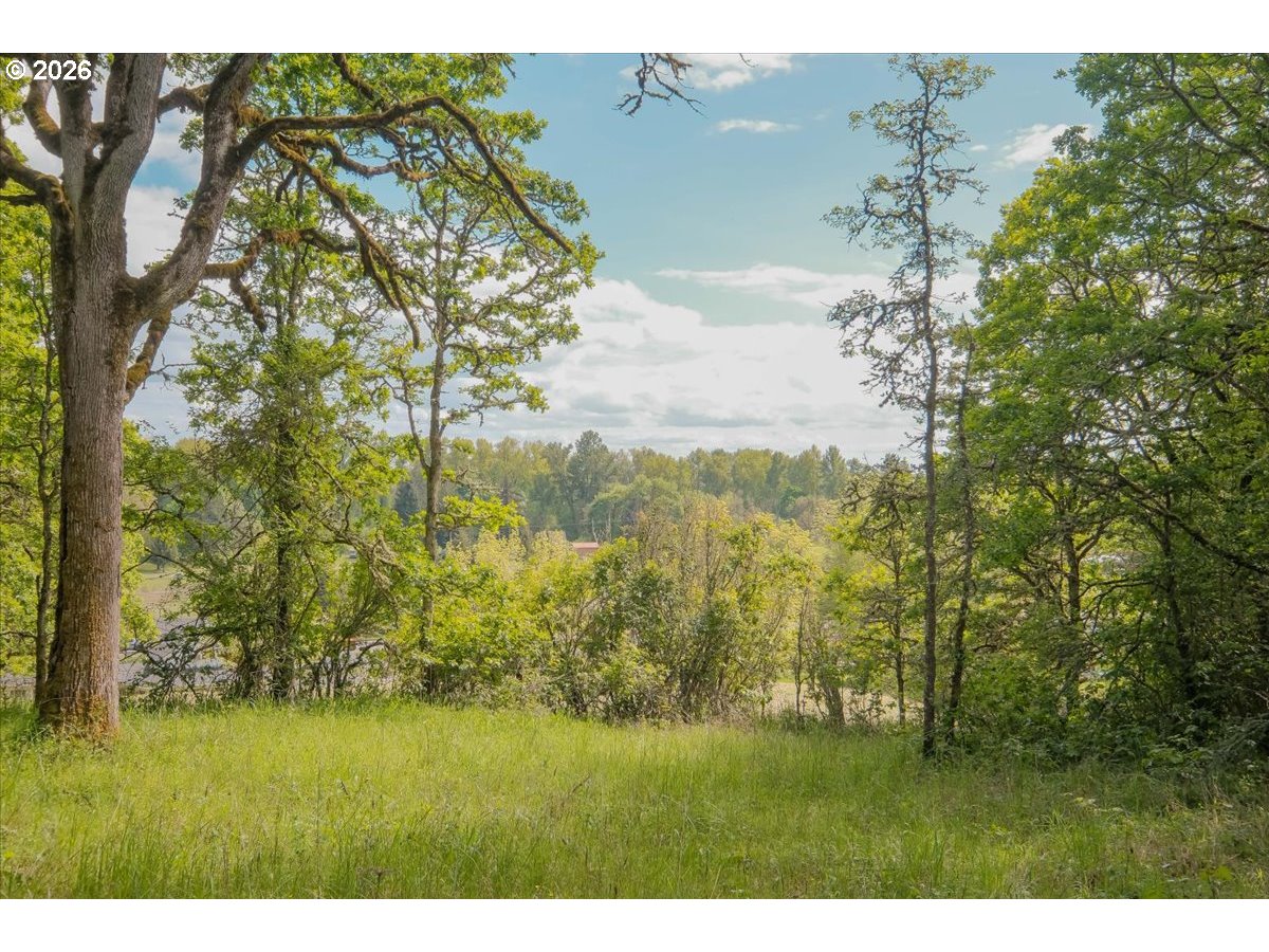 Search Homes for Sale