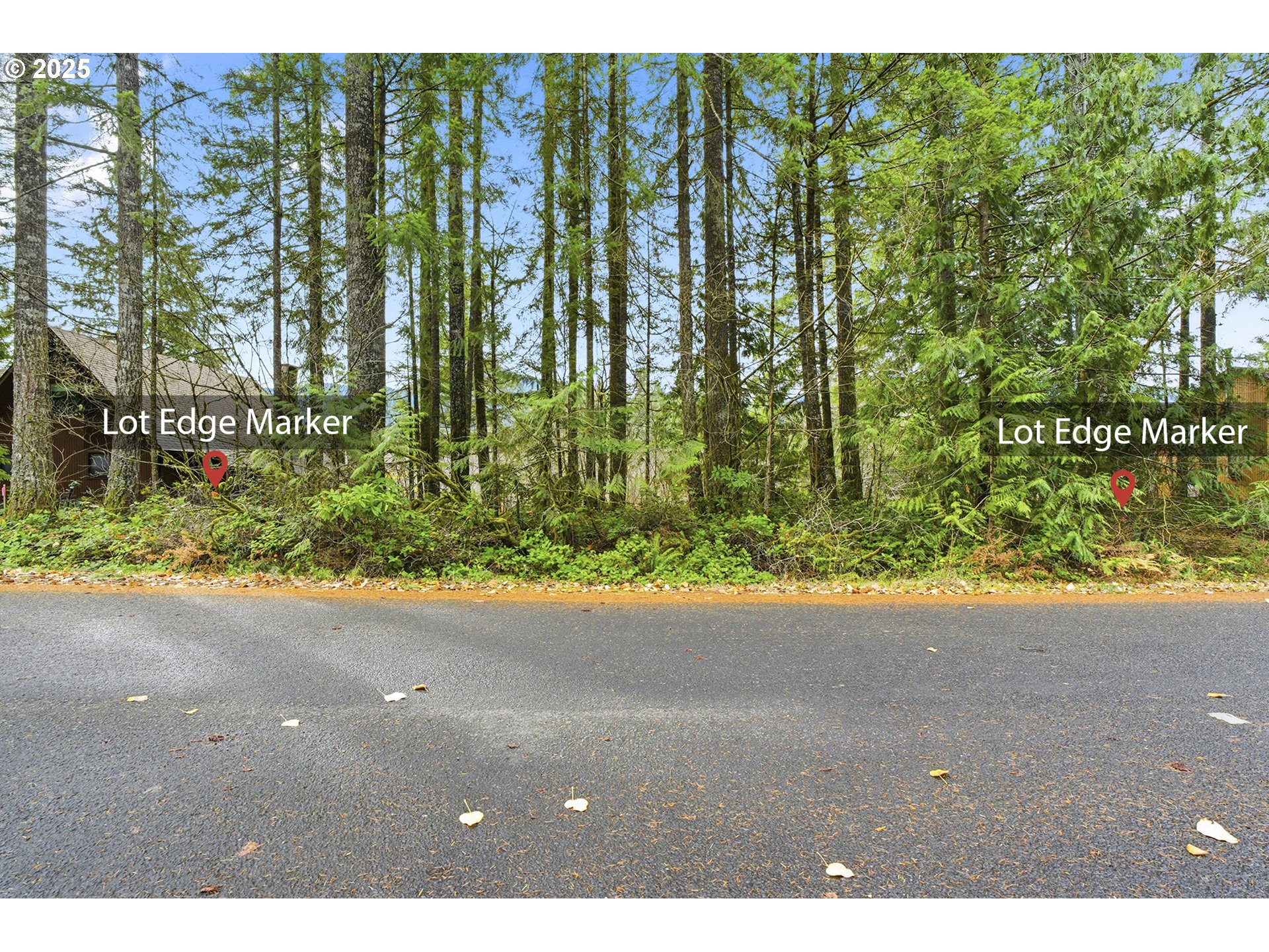 Search Homes for Sale