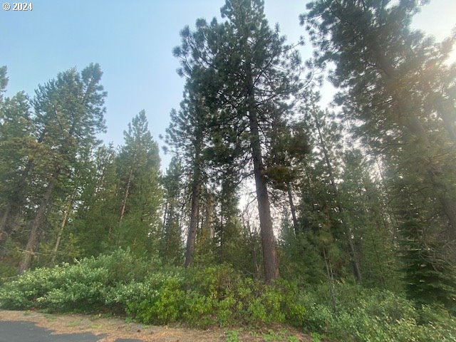 Snow Flake CT UNIT 22, Crescent Lake, OR, 97733