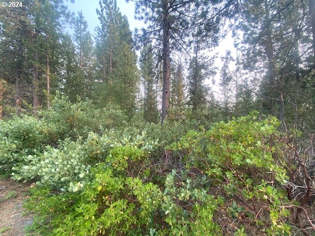 Snow Flake CT UNIT 22, Crescent Lake, OR, 97733