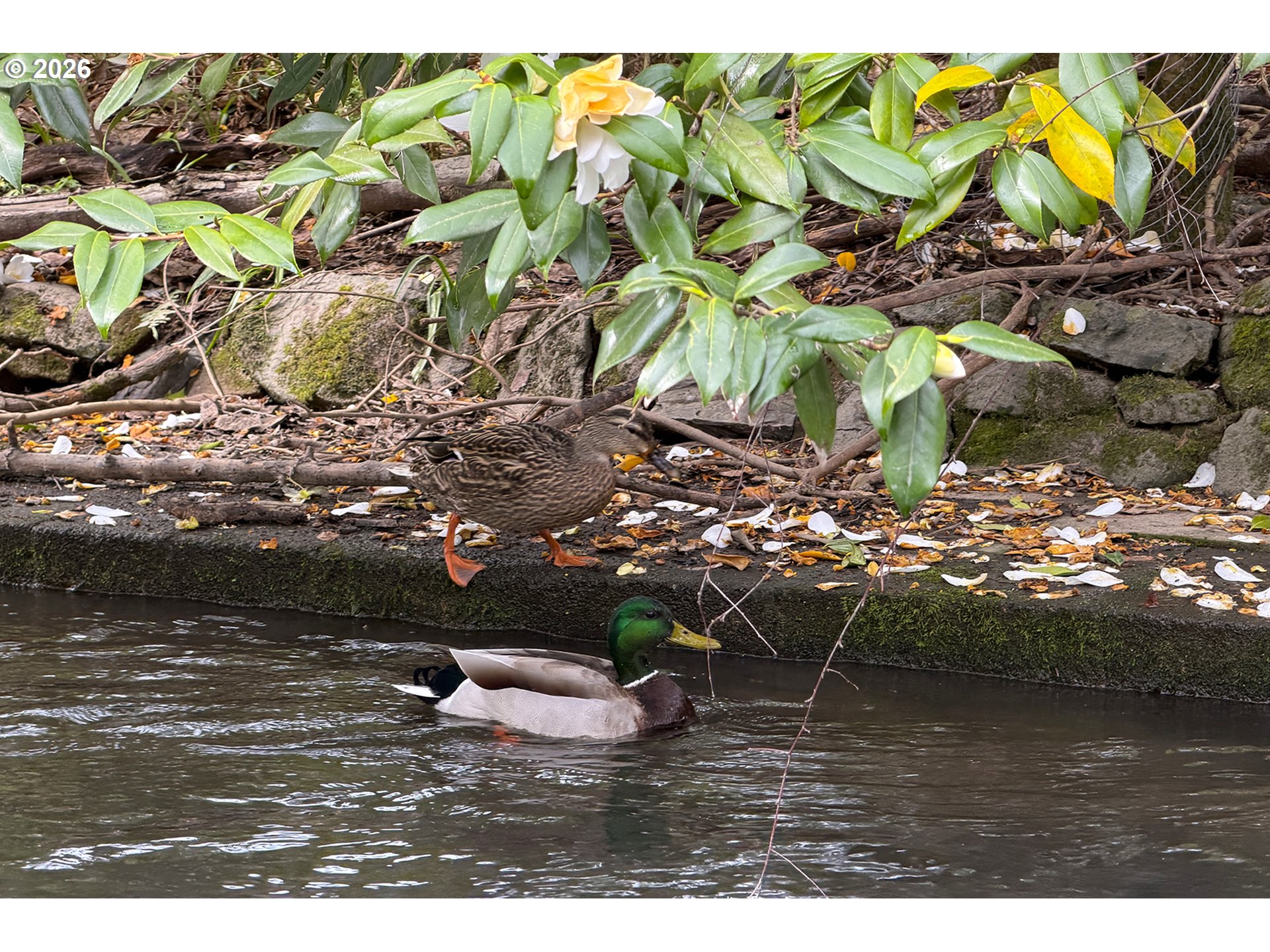 Photo #39: 623652768 Listing: Photo #39