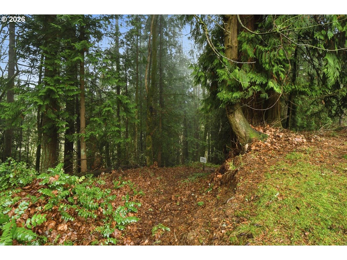 Photo #27: 626071979 Listing: Photo #27