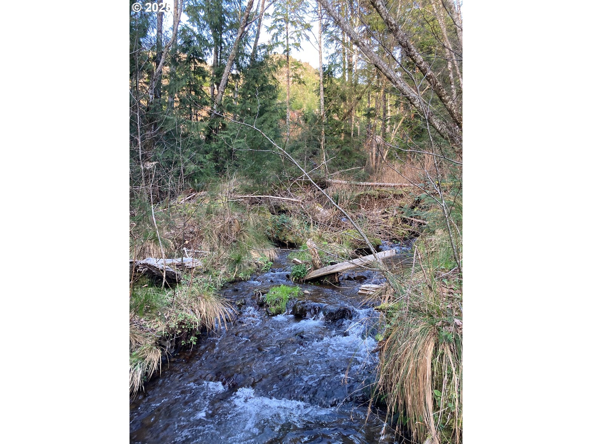 HWY 101, Nehalem, OR, 97131