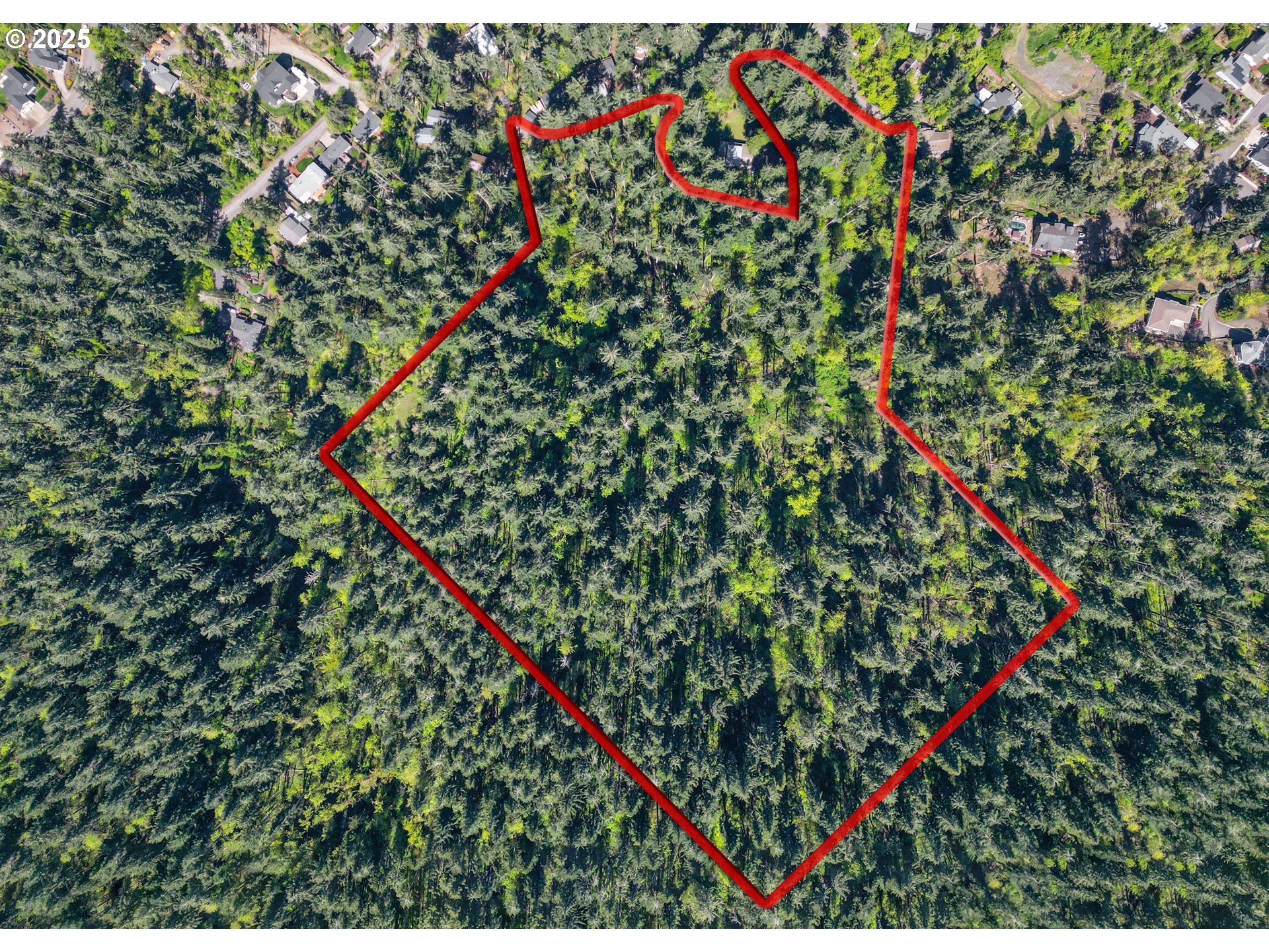 Springfield Springfield