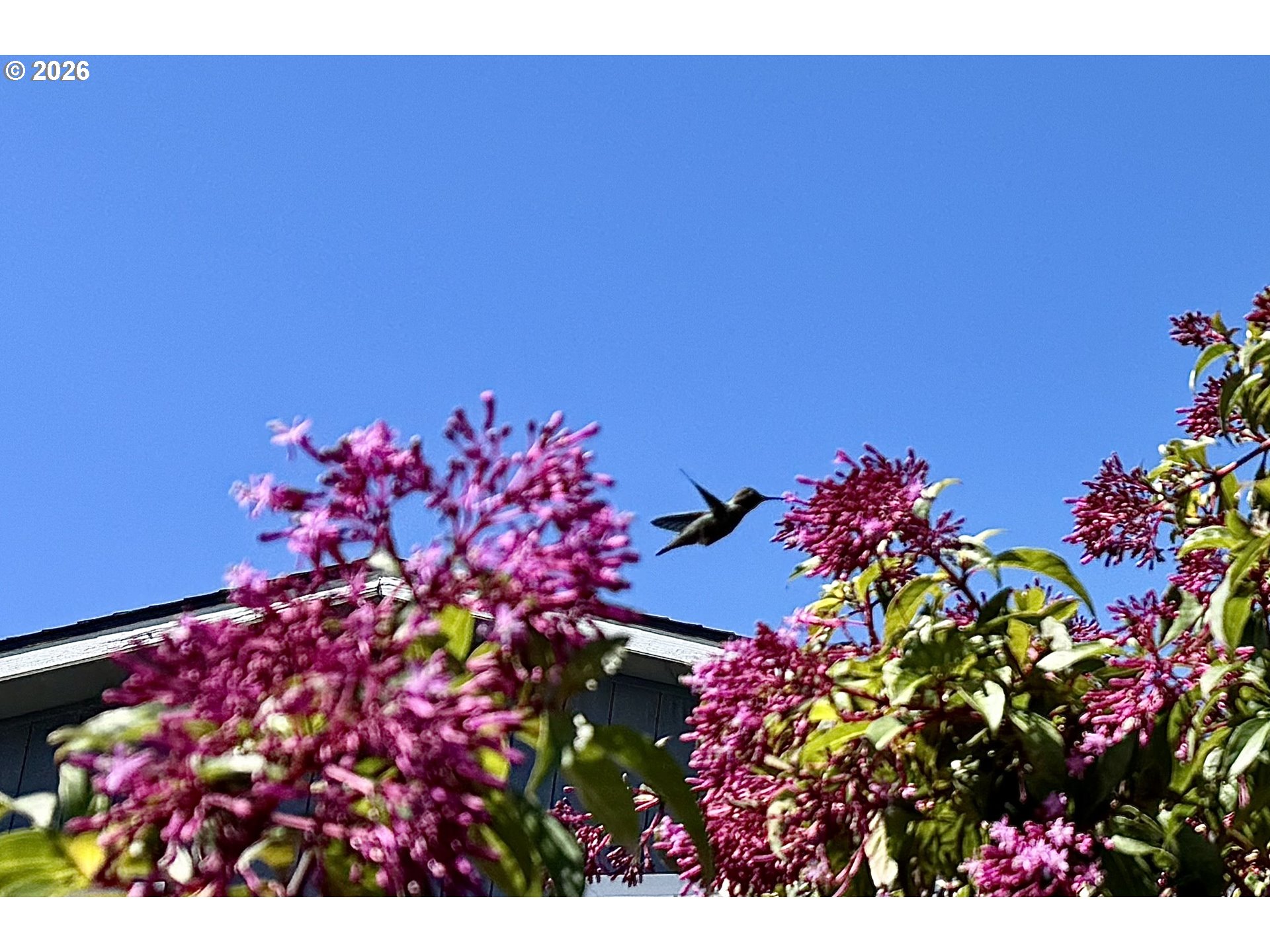 15889 SUNSET STRIP UNIT 102, Brookings, OR, 97415