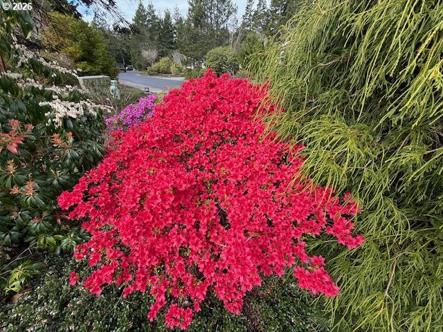 212 MUNSEL CREEK LOOP, Florence, OR, 97439