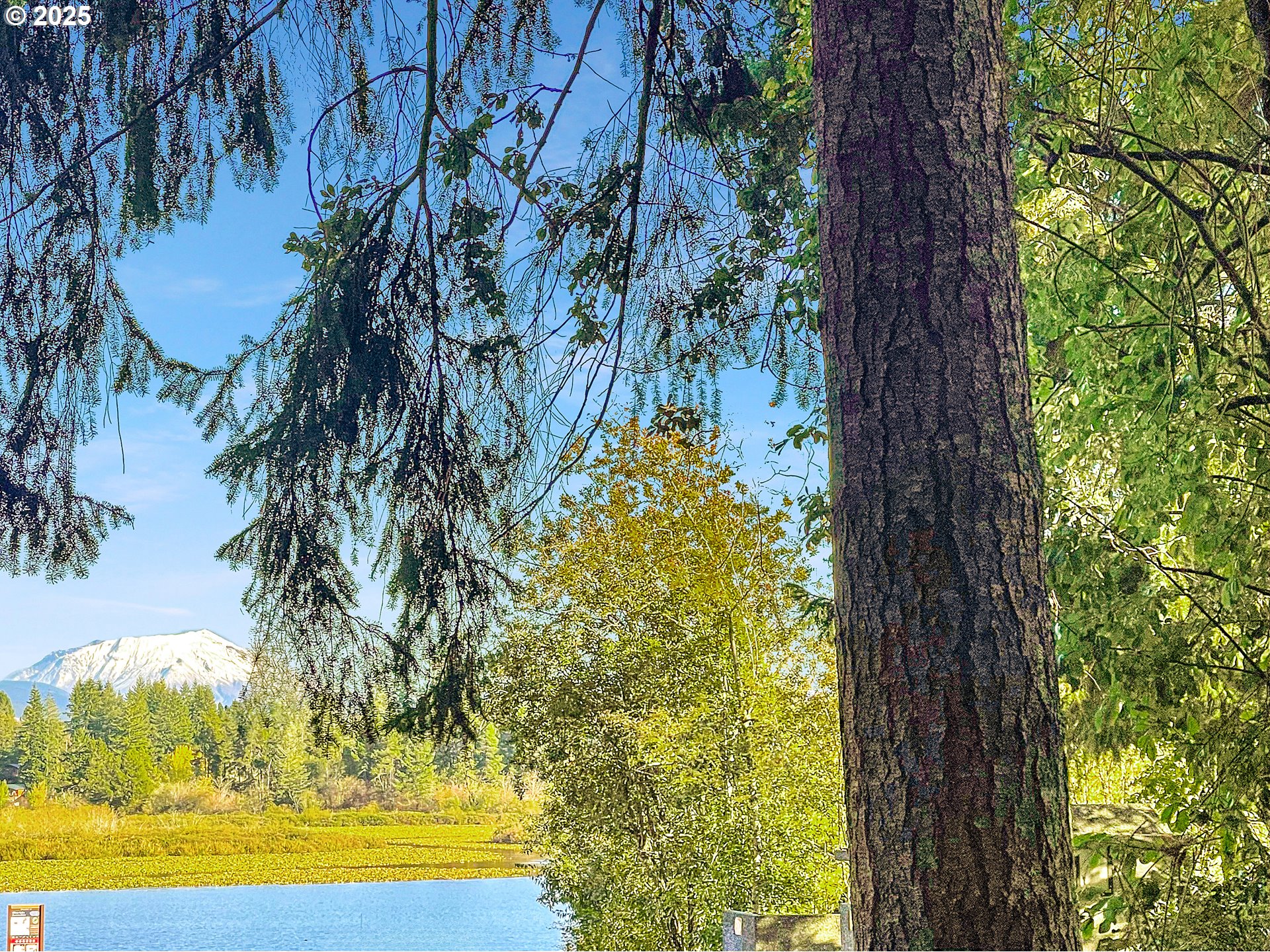 Castle Rock, Toutle & Silver Lake Listings Castle Rock, Toutle & Silver Lake Listings