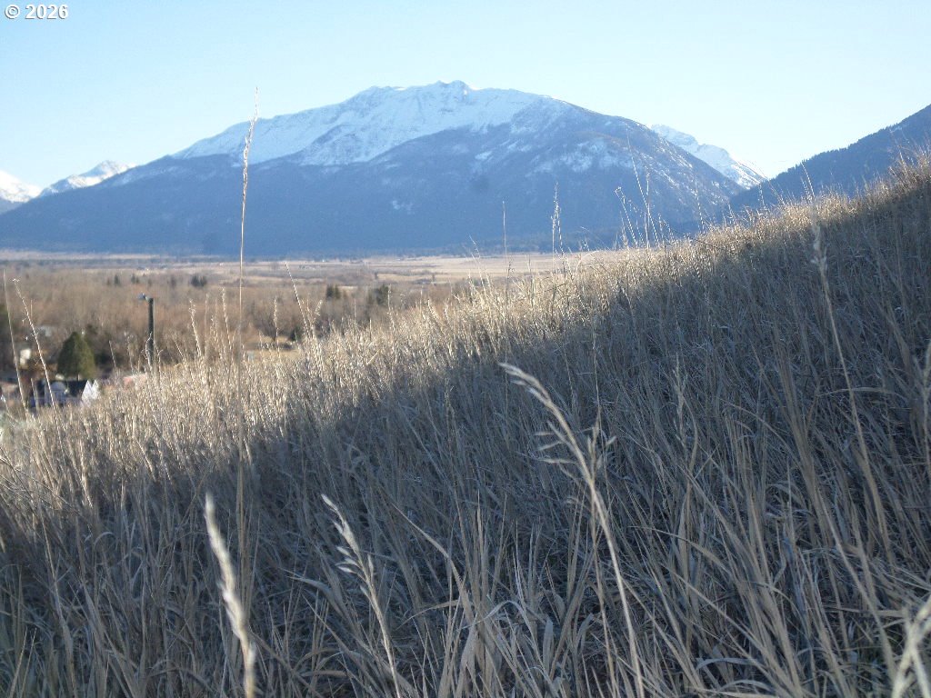 Search Homes for Sale