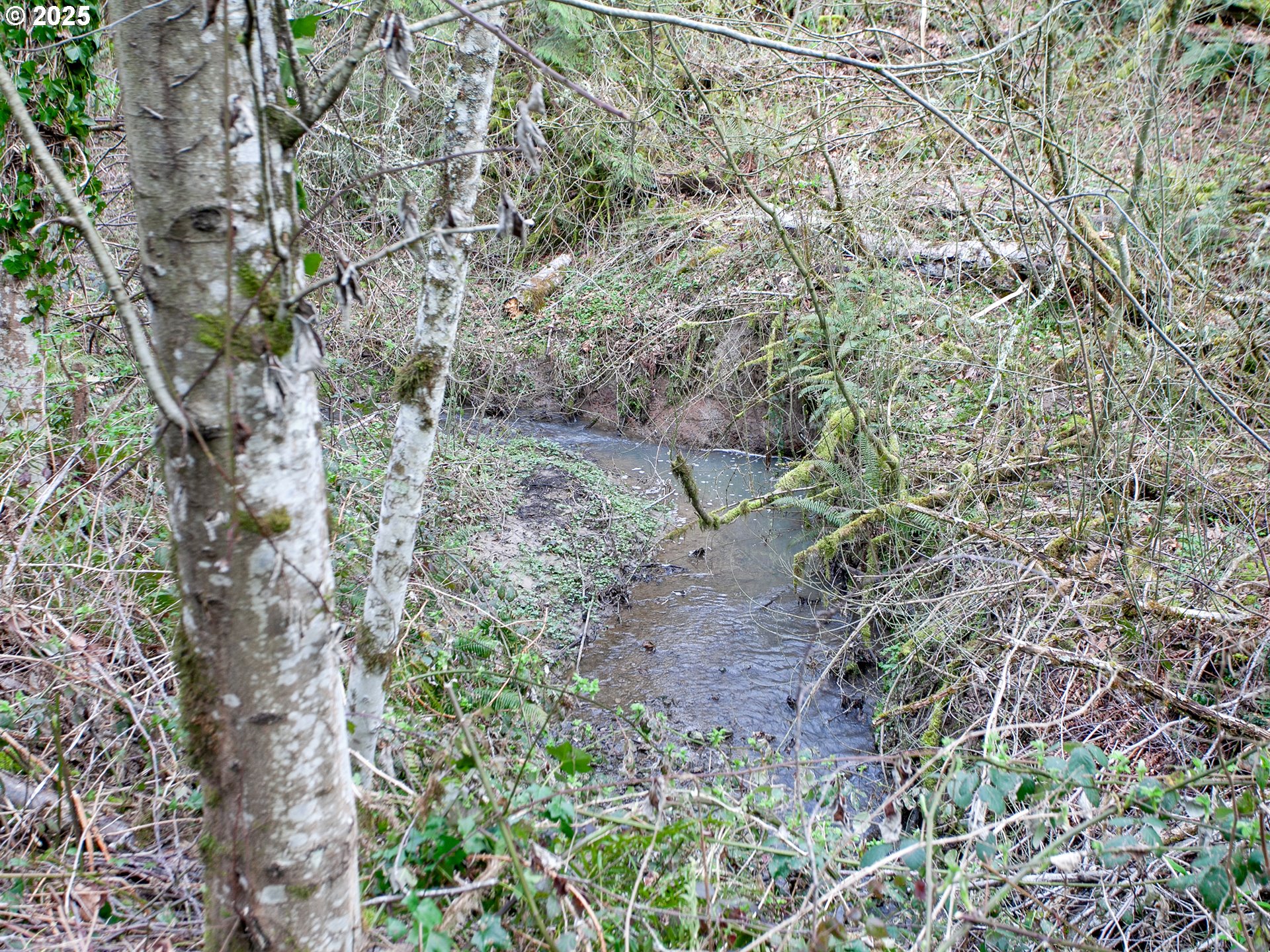 9228 NW MCKENNA DR, Portland, OR, 97229