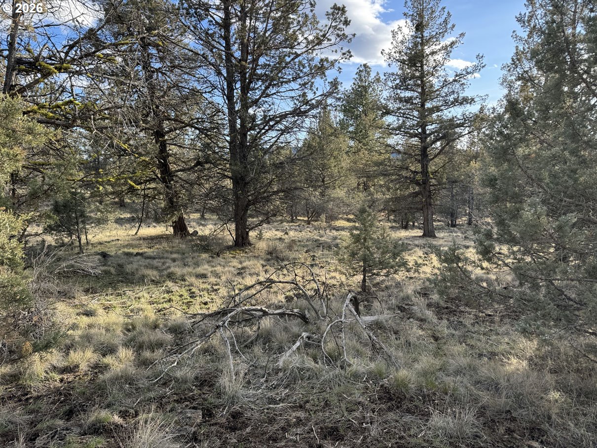 Search Homes for Sale