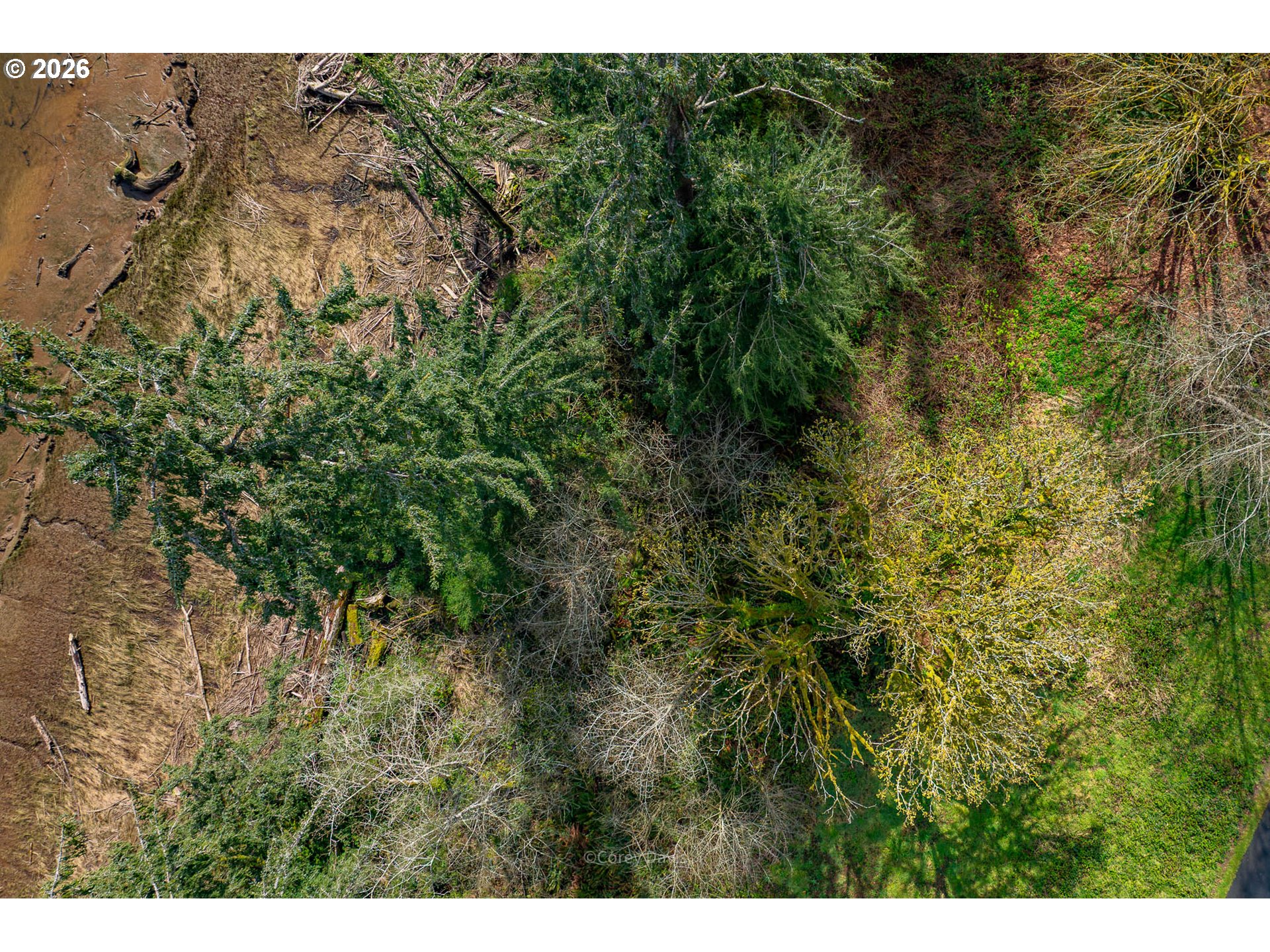 Riverway DR UNIT 14, Nehalem, OR, 97131