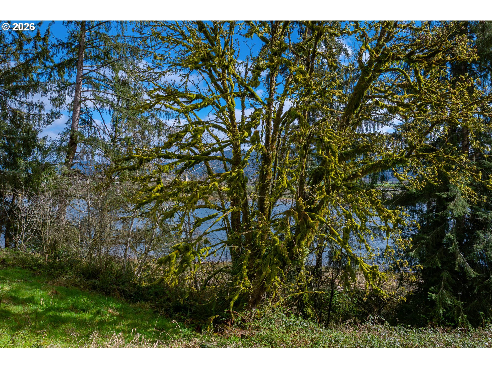 Riverway DR UNIT 14, Nehalem, OR, 97131