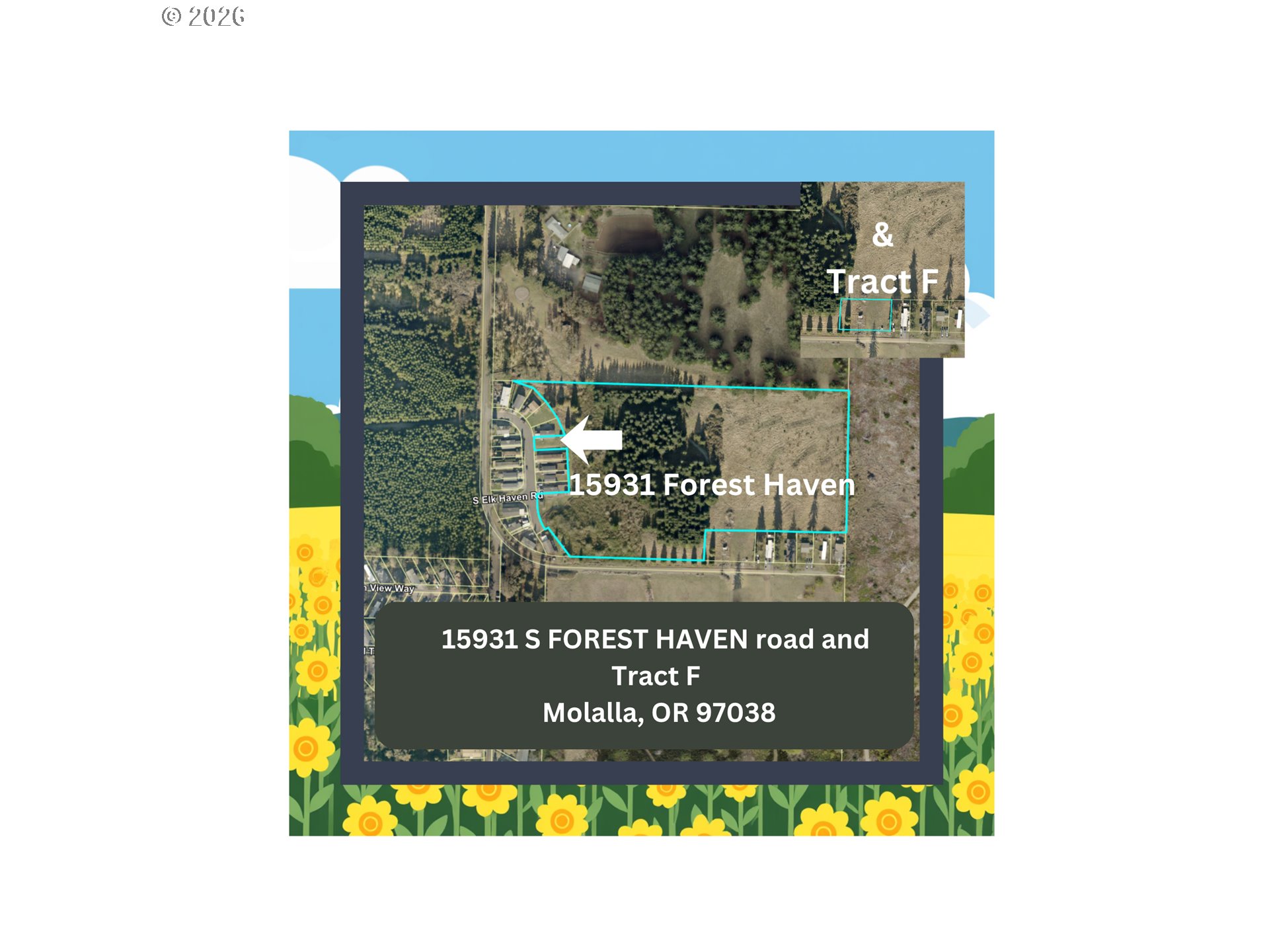 Search Homes for Sale