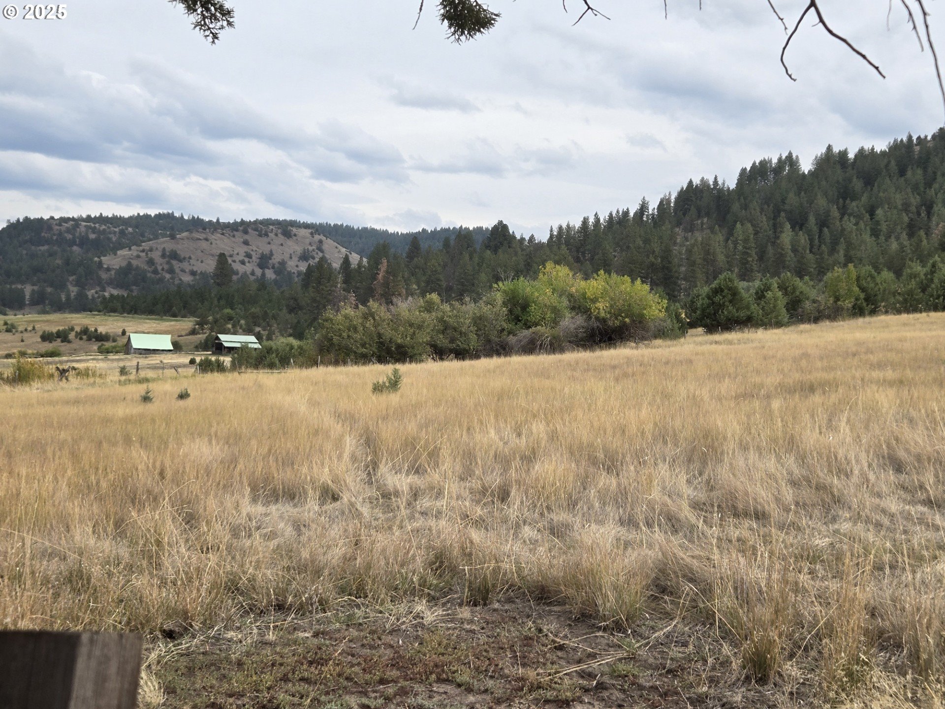 Search Homes for Sale