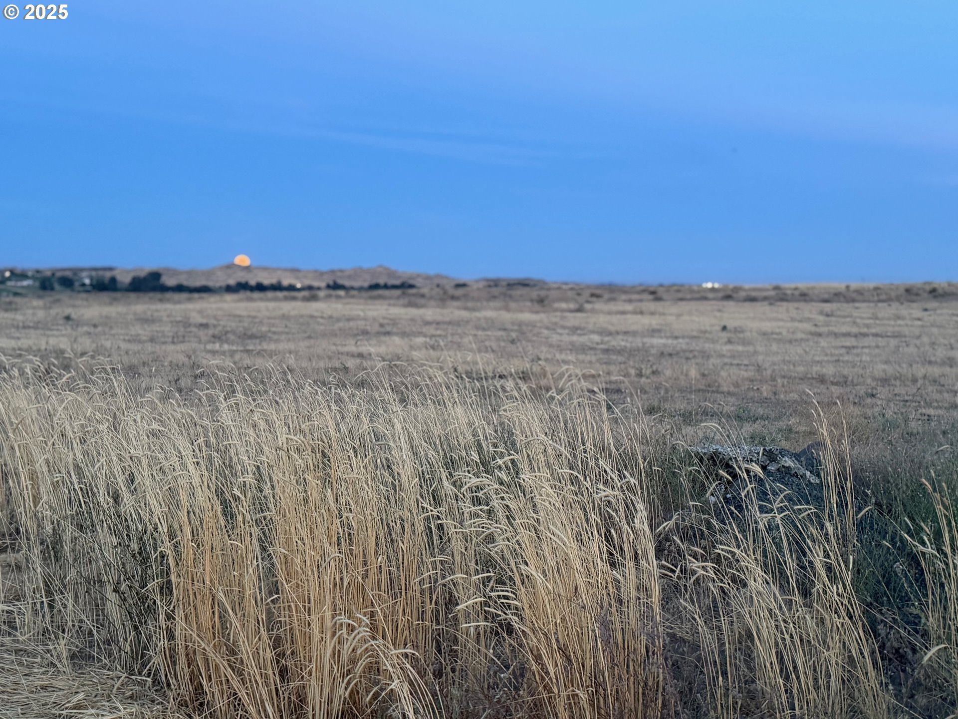 850 N Greenwood Rd (East of) Rd, Rickreall, OR, 97371