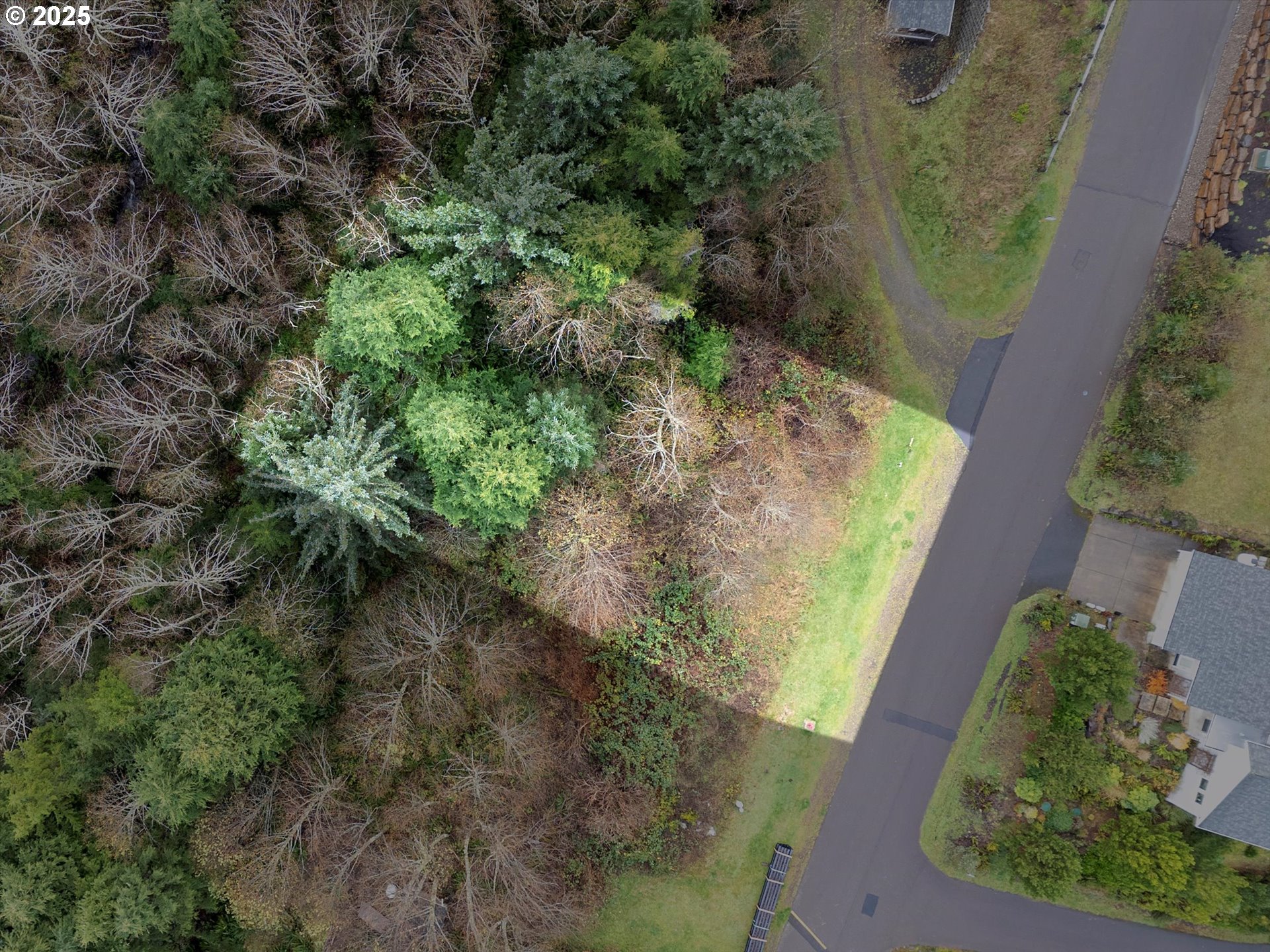 53000 Blk SouthBeach TL219, Neskowin, OR, 97149