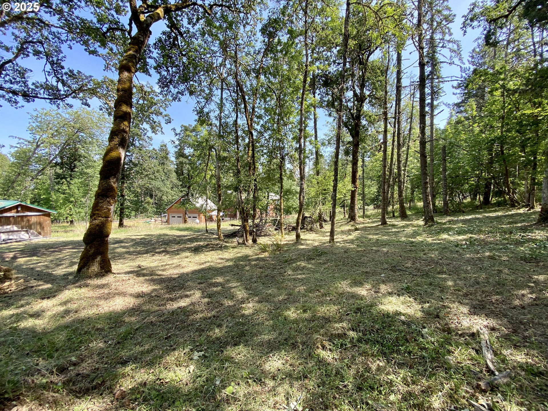 Search Homes for Sale