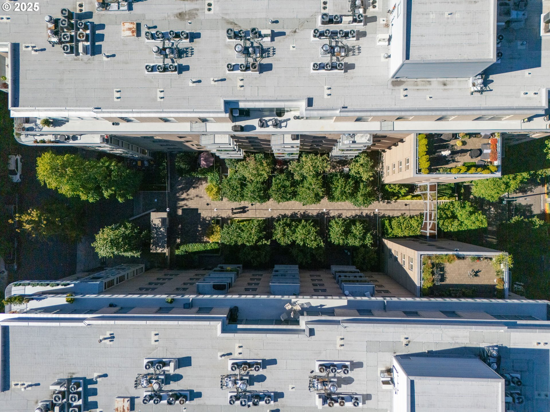 1130 NW 12TH AVE UNIT 214, Portland, OR, 97209