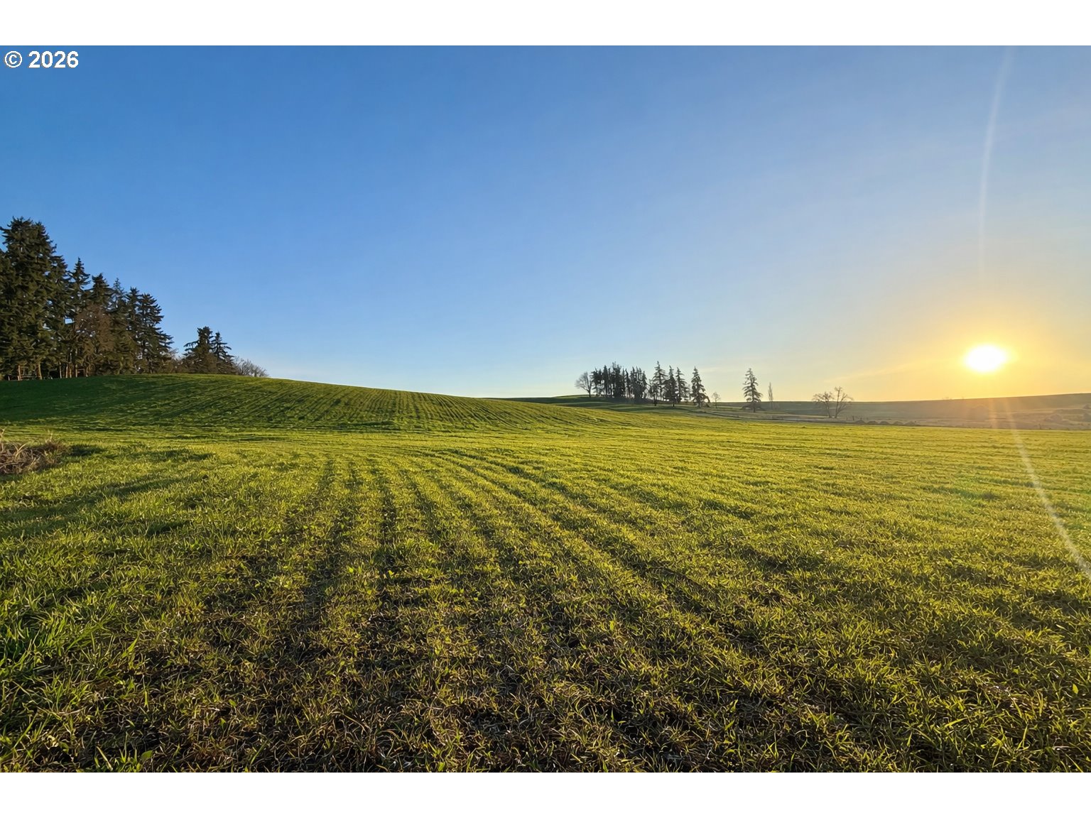 9900 S WILDCAT RD, Molalla, OR, 97038