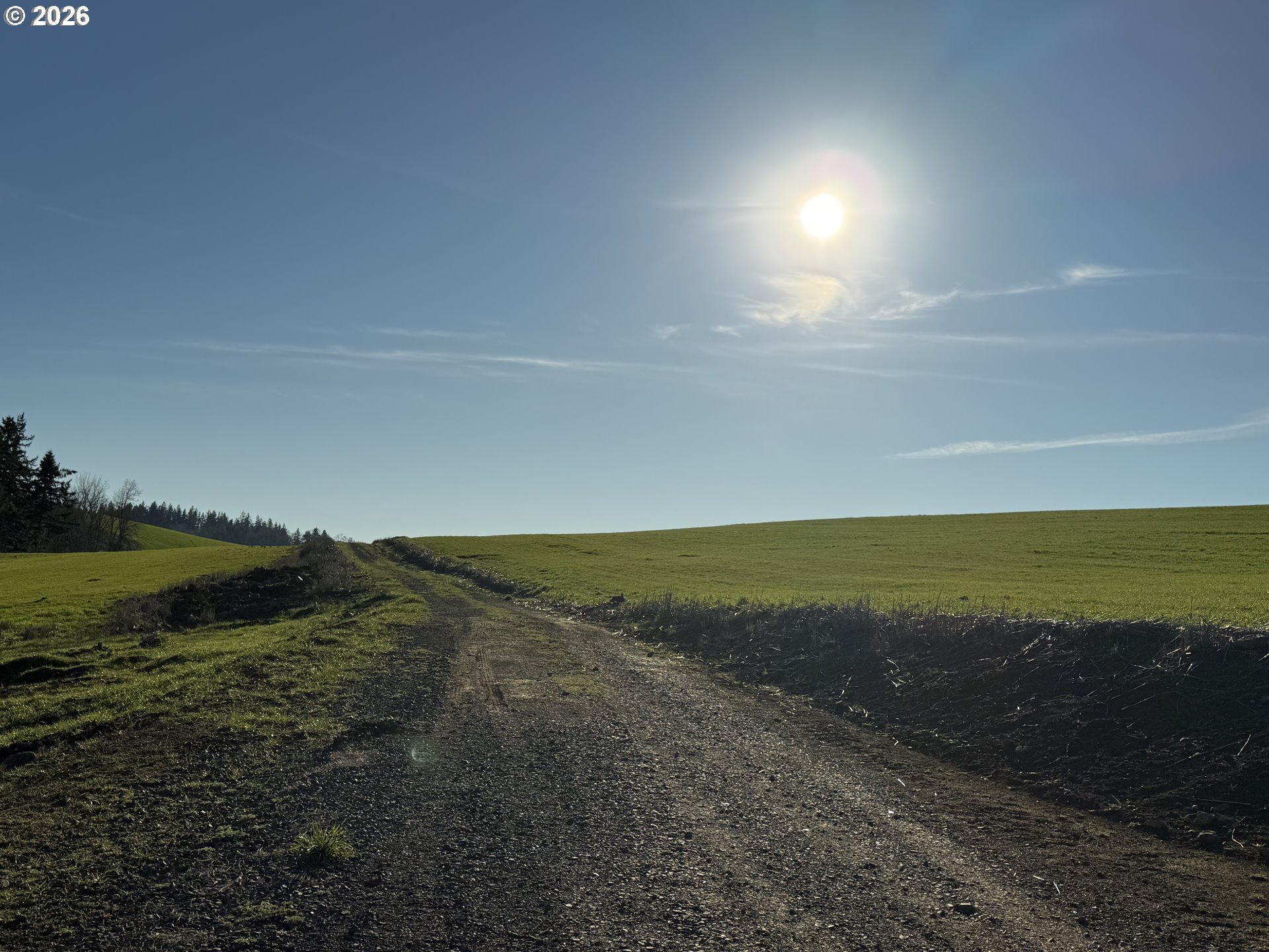 9900 S WILDCAT RD, Molalla, OR, 97038