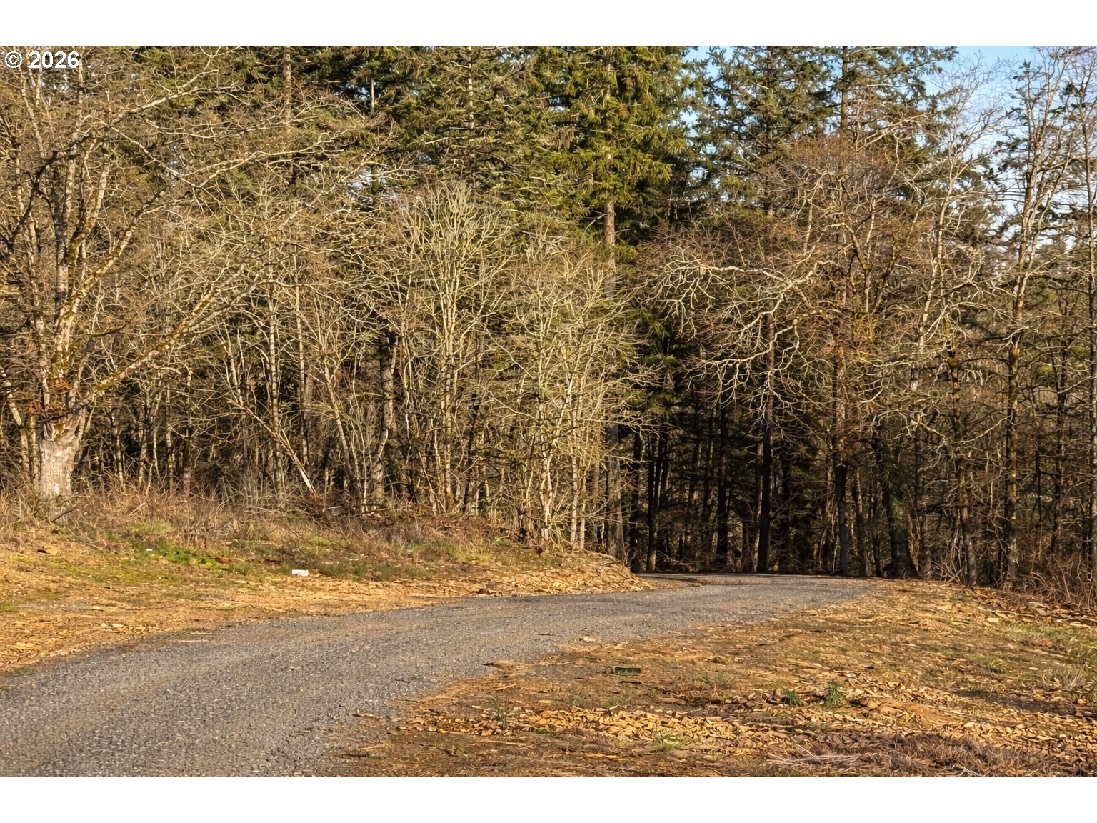 9900 S WILDCAT RD, Molalla, OR, 97038